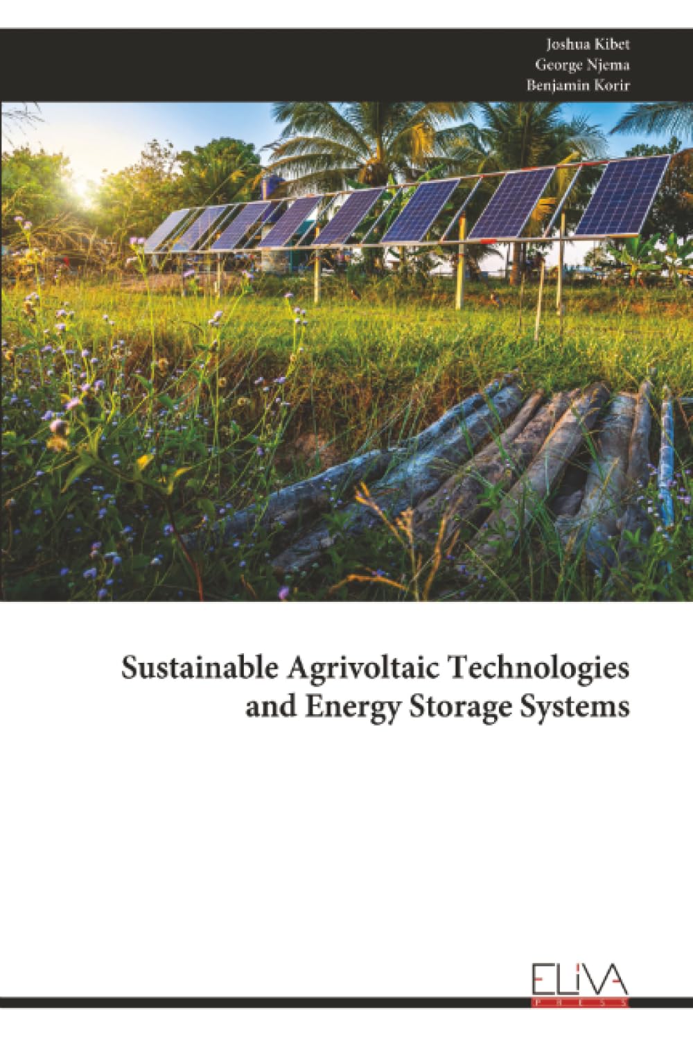 Sustainable Agrivoltaic Technologies and Energy Storage Systems