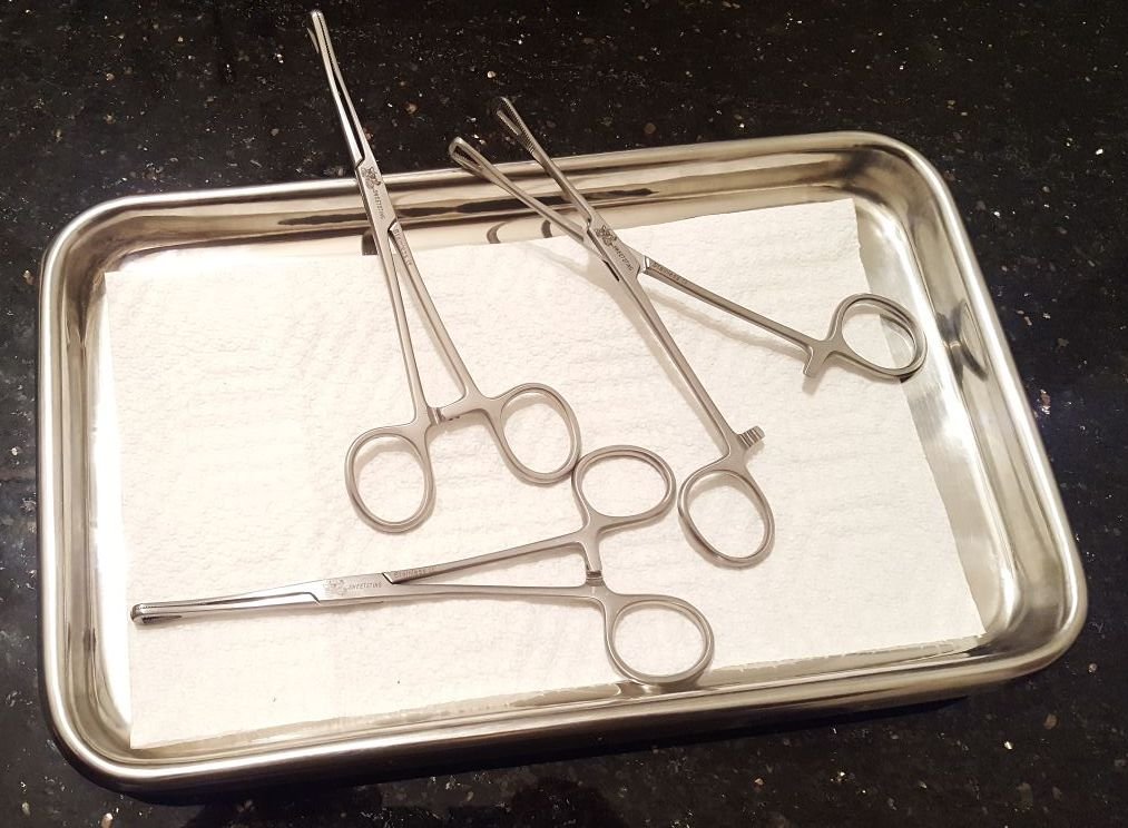 6 Body Piercing Micro Pennington Forceps Unslotted 6