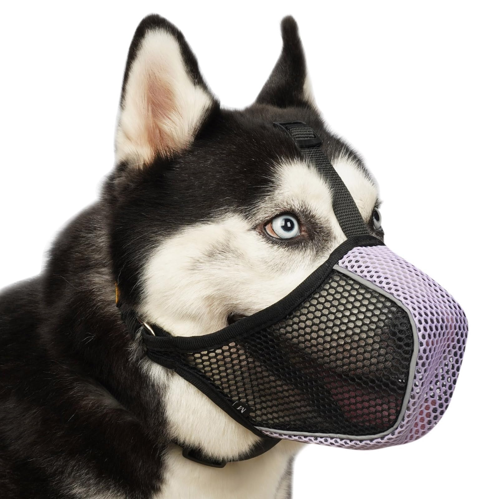 Mayerzon Dog Muzzle, Patented Mesh Soft Muzzles for Large Medium Small Dogs Poodle Husky Doberman Labrador Retriever for Scavenging Grooming Biting