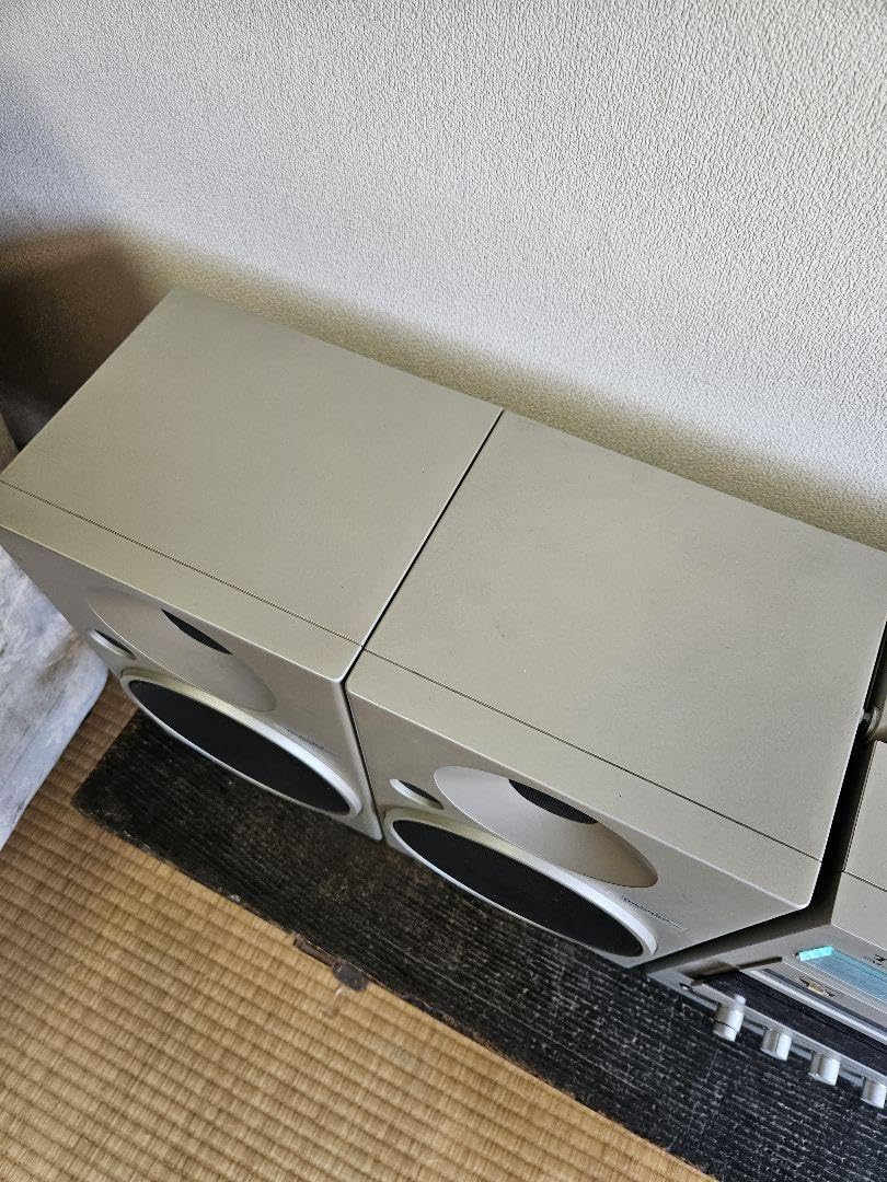 Technics SA-C06 FM AM Boombox SB-F07 2-Way : Amazon.ca: Electronics