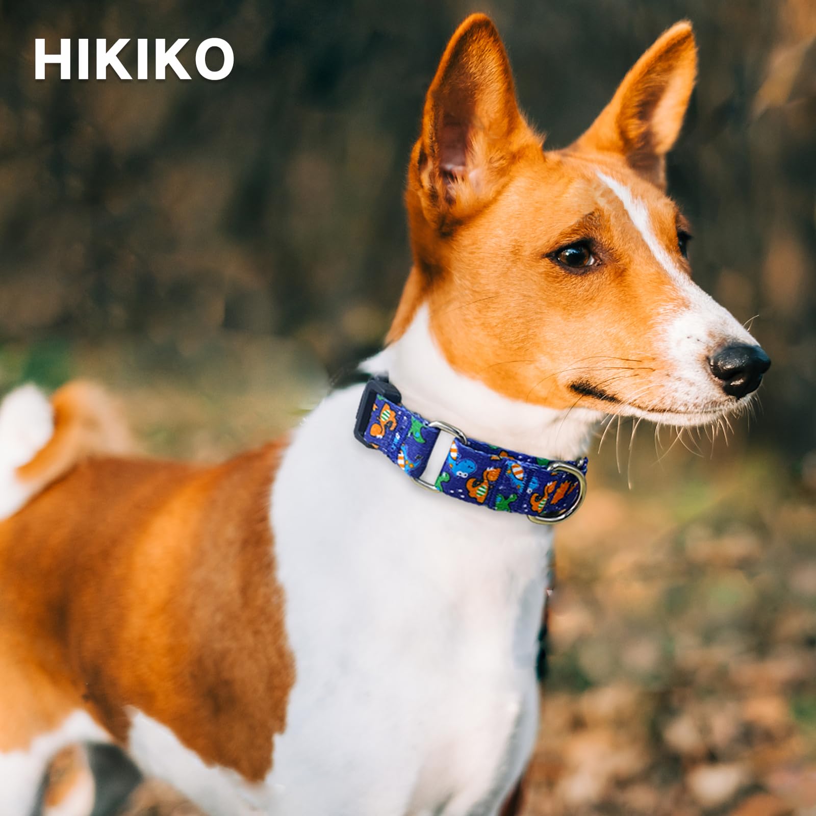 Hikiko Martingale Halsband für Hunde, niedliches Dinosaurier-Hundehalsband für kleine, mittelgroße und große Hunde, bequemes Nylon, lustige Hundehalsbänder (Dinosaurier, klein)