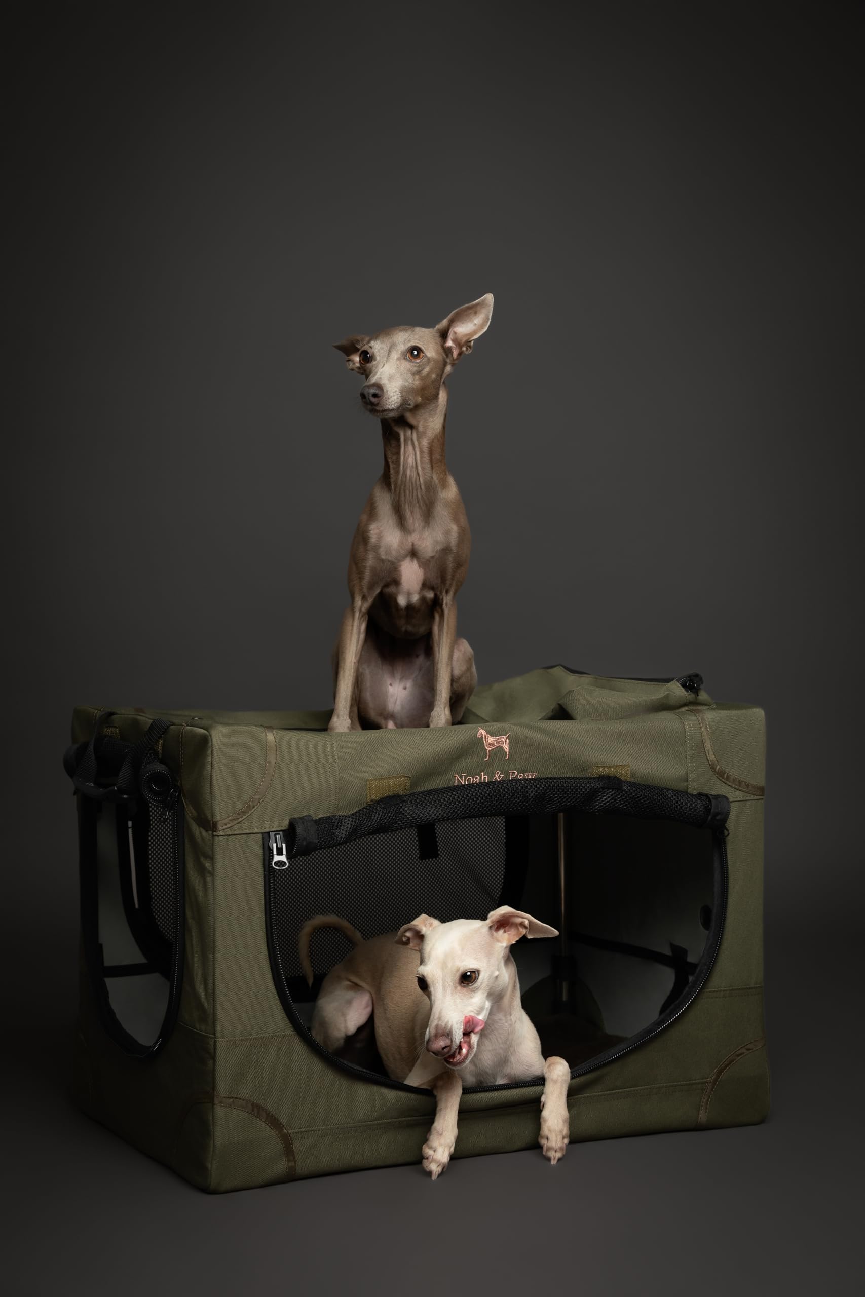 Noah & Paw Faltbare Hundebox 26 Zoll, kleine Hundebox für kleine bis mittelgroße Rassen, Transportbox fürs Auto, inklusive Hundematte, 2 Aufbewahrungstaschen, Tragetasche