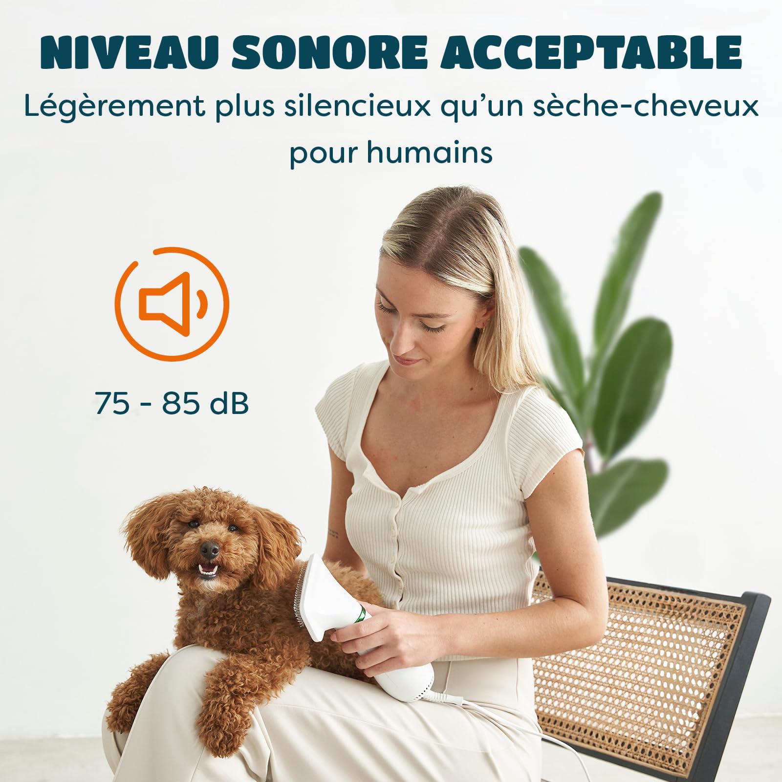 Sèchoir pour Chien et Chats 2 en 1 | Séchoir Pulseur Portable et Silencieux avec Brosse à Lisser | Température Ajustable | pour Chiens et Chats Petits et Moyens