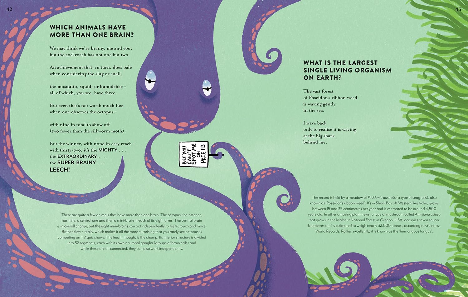 A Poem for Every Question: A new illustrated funny and fact-filled non-fiction children’s poetry book for 2026, great for kids aged 6+