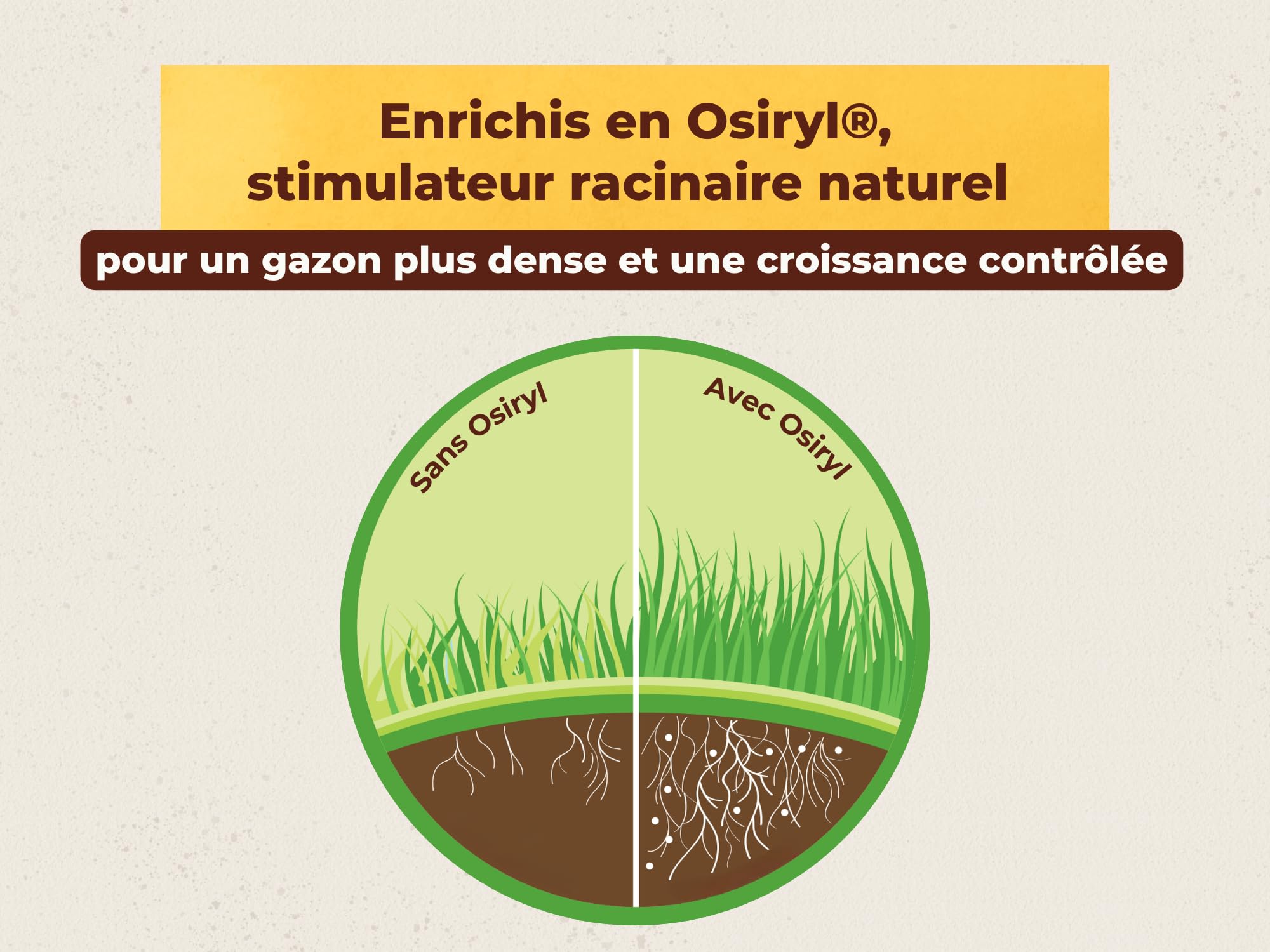 SOLABIOL Engrais Gazon 4 En 1 30Kg Jusqu'à 750m² Nutrion Longue Durée Effet Reverdissant