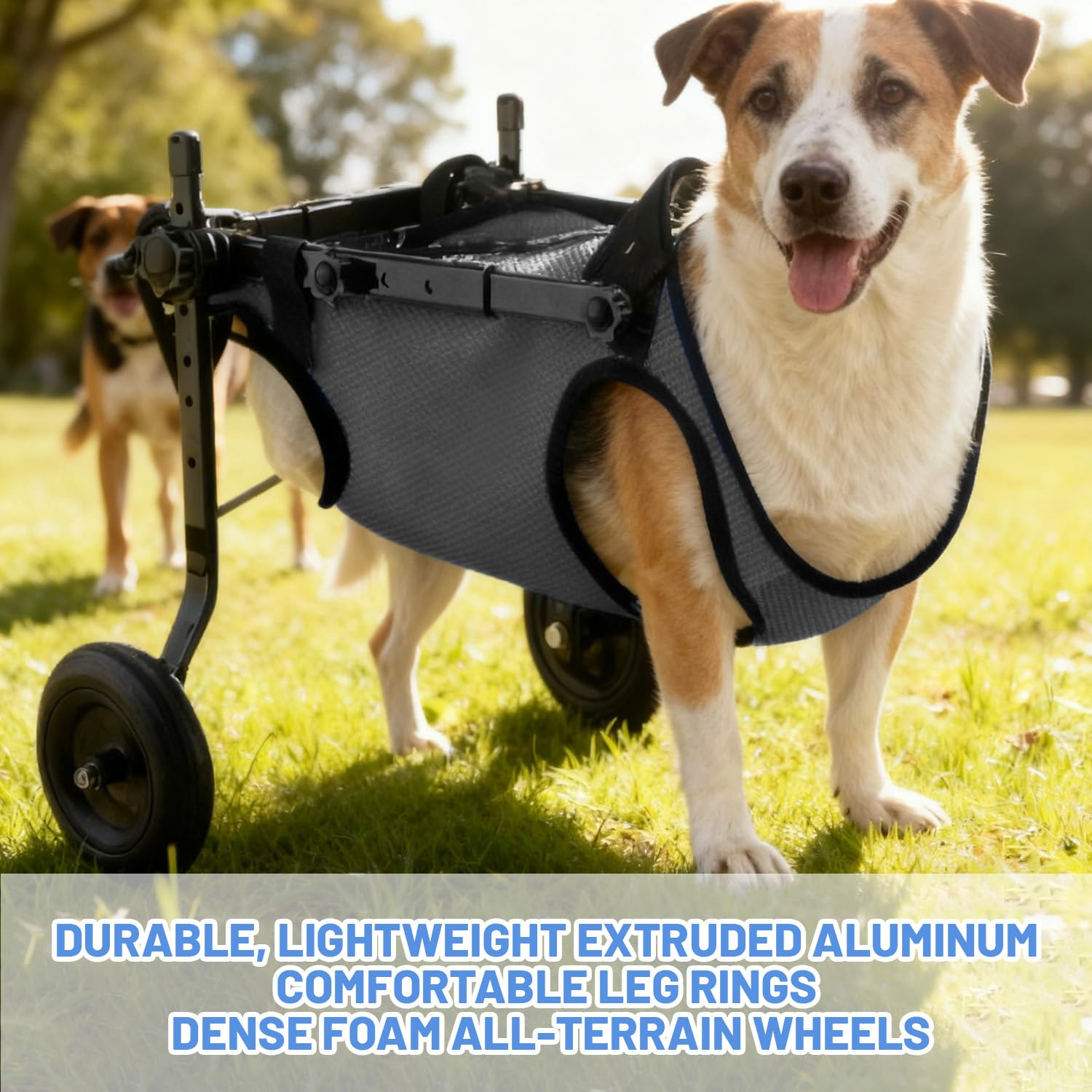 Piccola sedia a rotelle per cani, per gambe posteriori, per cani e gatti, per animali domestici, supporta la guarigione, carrello per cani e sedia a rotelle per feriti e debolezza delle zampe