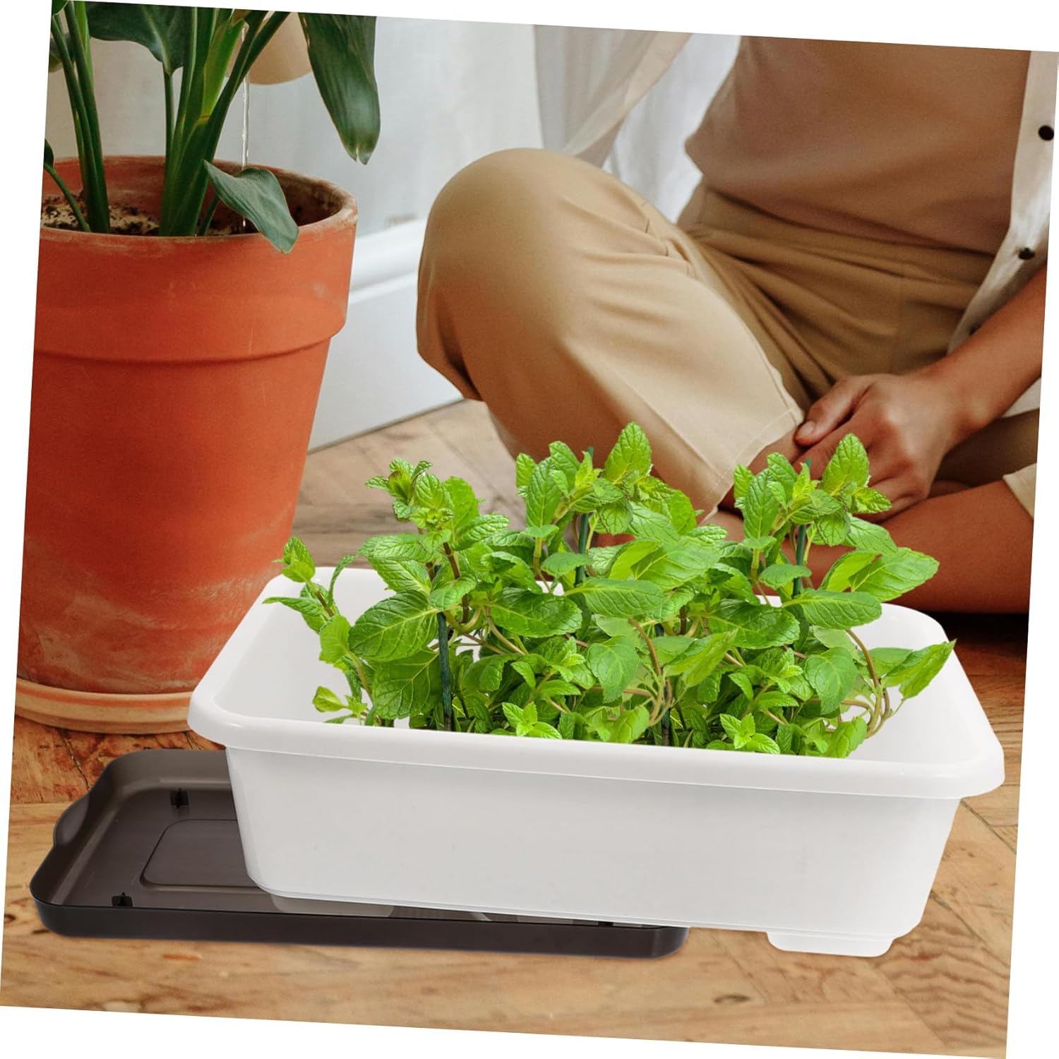 2pcs Rectangular Vegetable Planter Box with Tray for Windowsill Balcony Widened Water Storage Design Root Aeration Holes Indoor Outdoor Flower Pot for Garden and Home