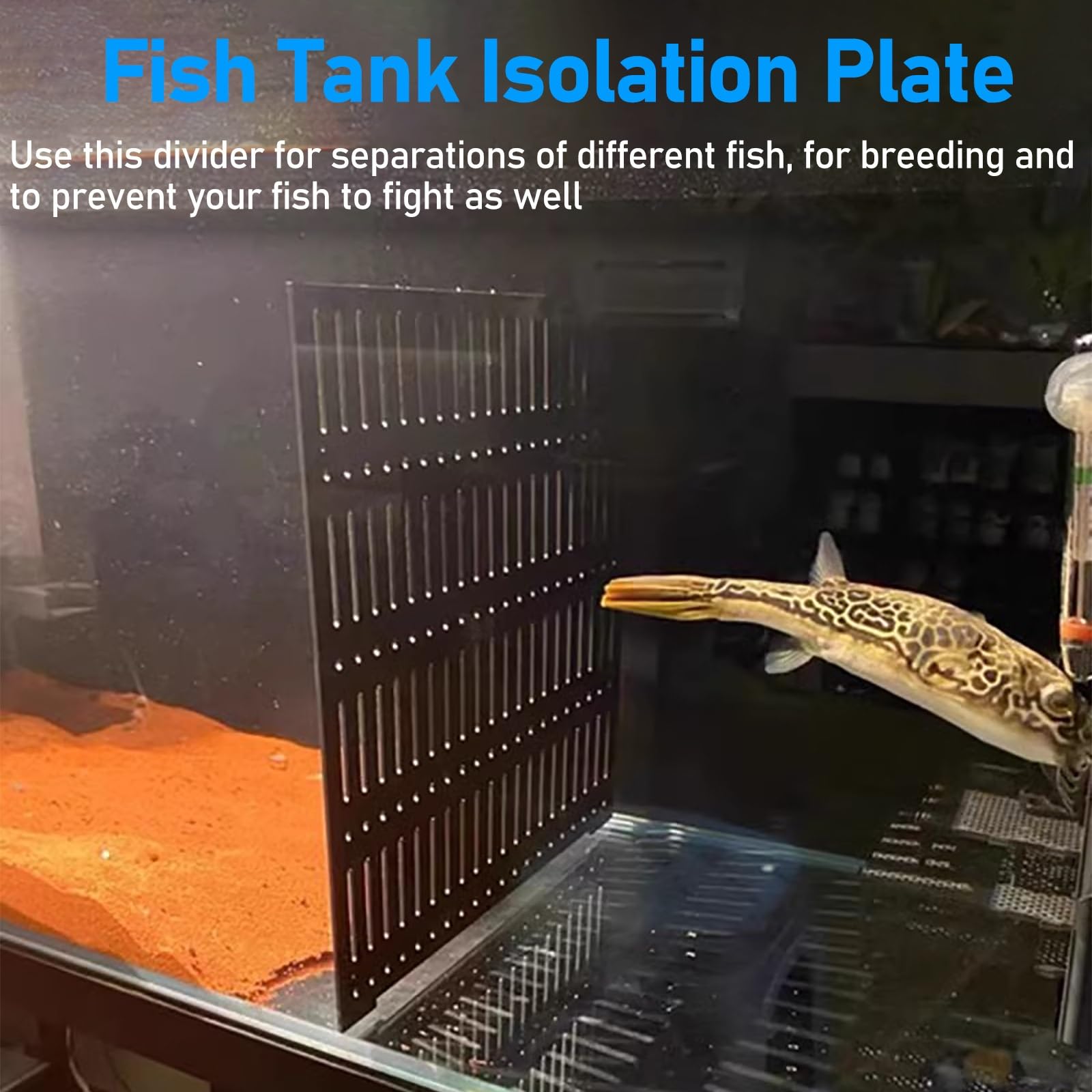Separador de acuario, rejilla de aislamiento acrílico con ventosa, estuche grande para la cría de peces para aislamiento y protección de peces