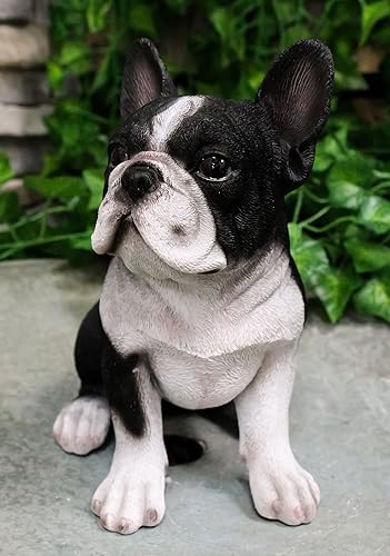 Miniatura 8 de Ebros - Estatua realista de bulldog francés negro realista con ojos de cristal, 7 pulgadas de alto, pintada a mano, figura de perro coleccionable