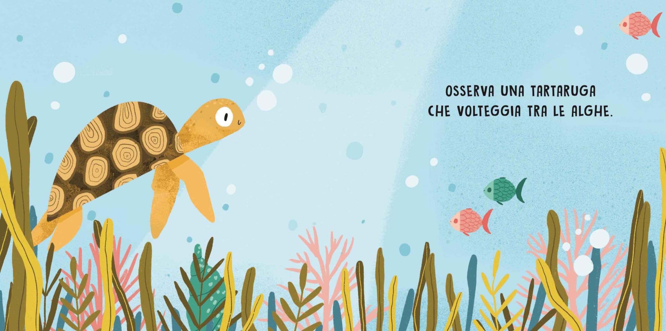 Il mare. Dolci storie sonore. Ediz. a colori