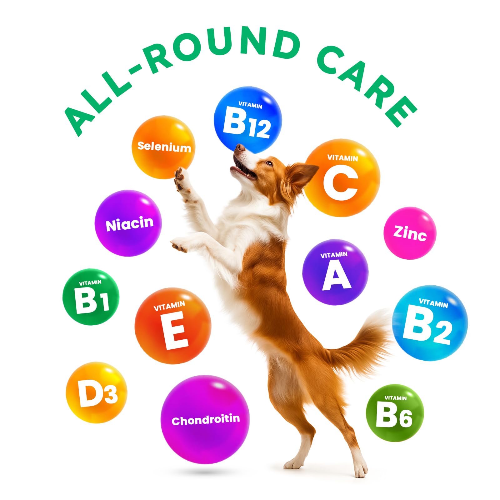 Dog Vitamins and Supplements - 150 Dog Multivitamin Chewable - Immune, Joint Support, Skin, Gut Health + Packed with Omega 3s, Glucosamine & Probiotics - Safe for Puppy - Chicken - image 2