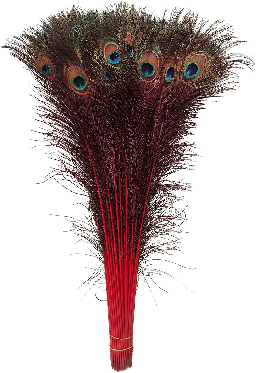 Peacock Feathers, Lampu 25 Pcs Dyeing Feather Long Pole 28-30 inches（red）