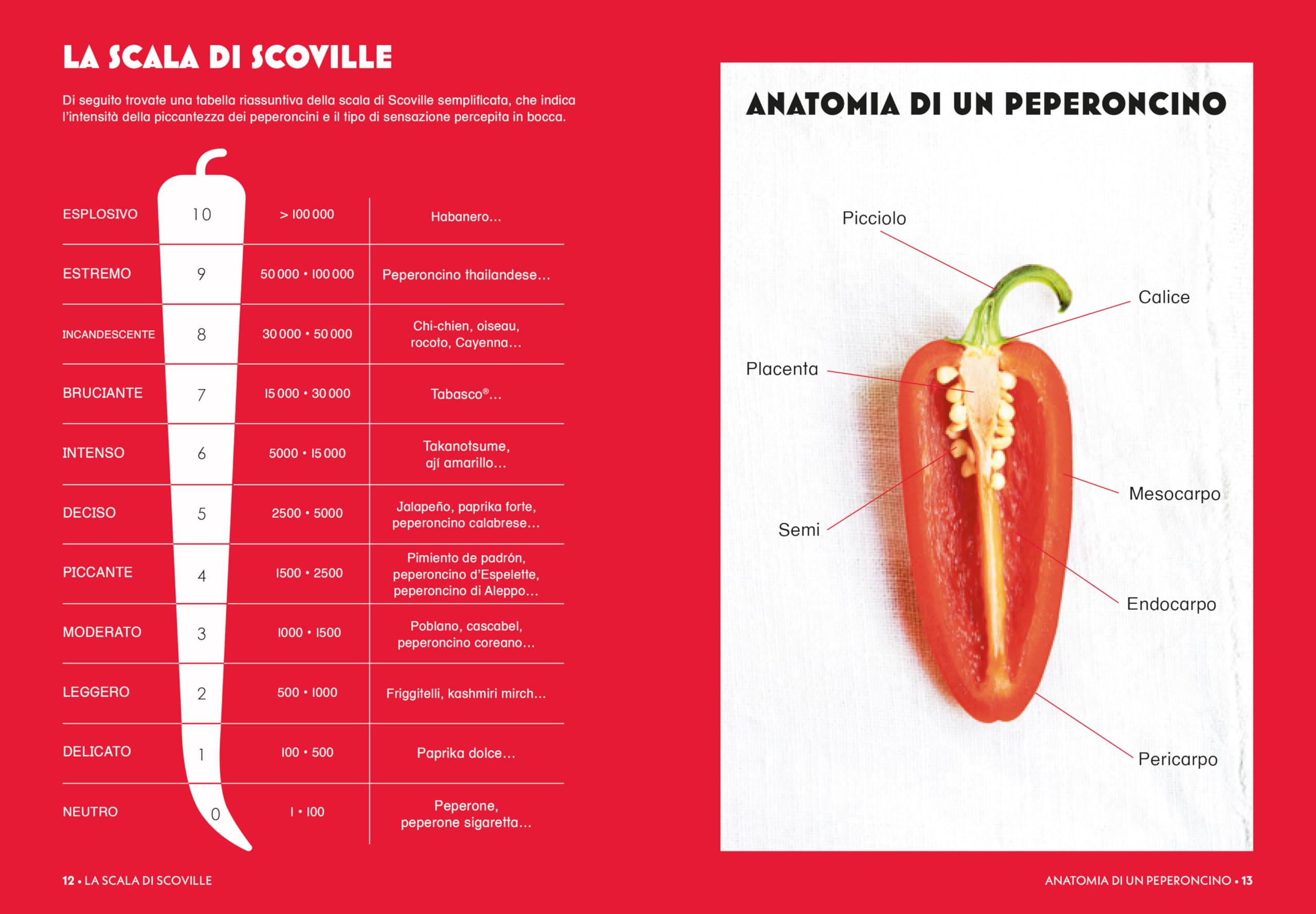 Peperoncino