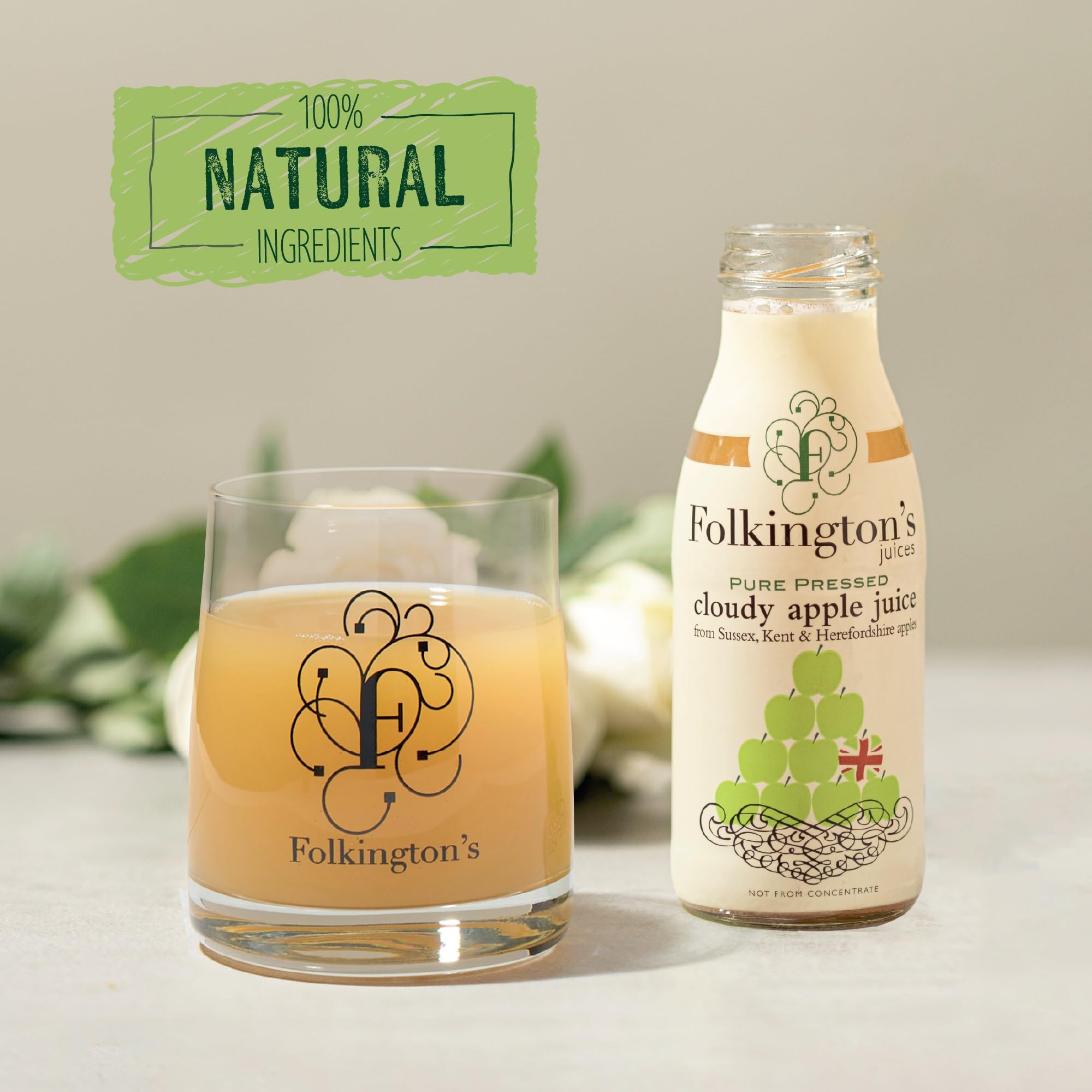 Folkington's Folkingtons Wolkiger Apfelsaft 12 x 250ml Flaschen