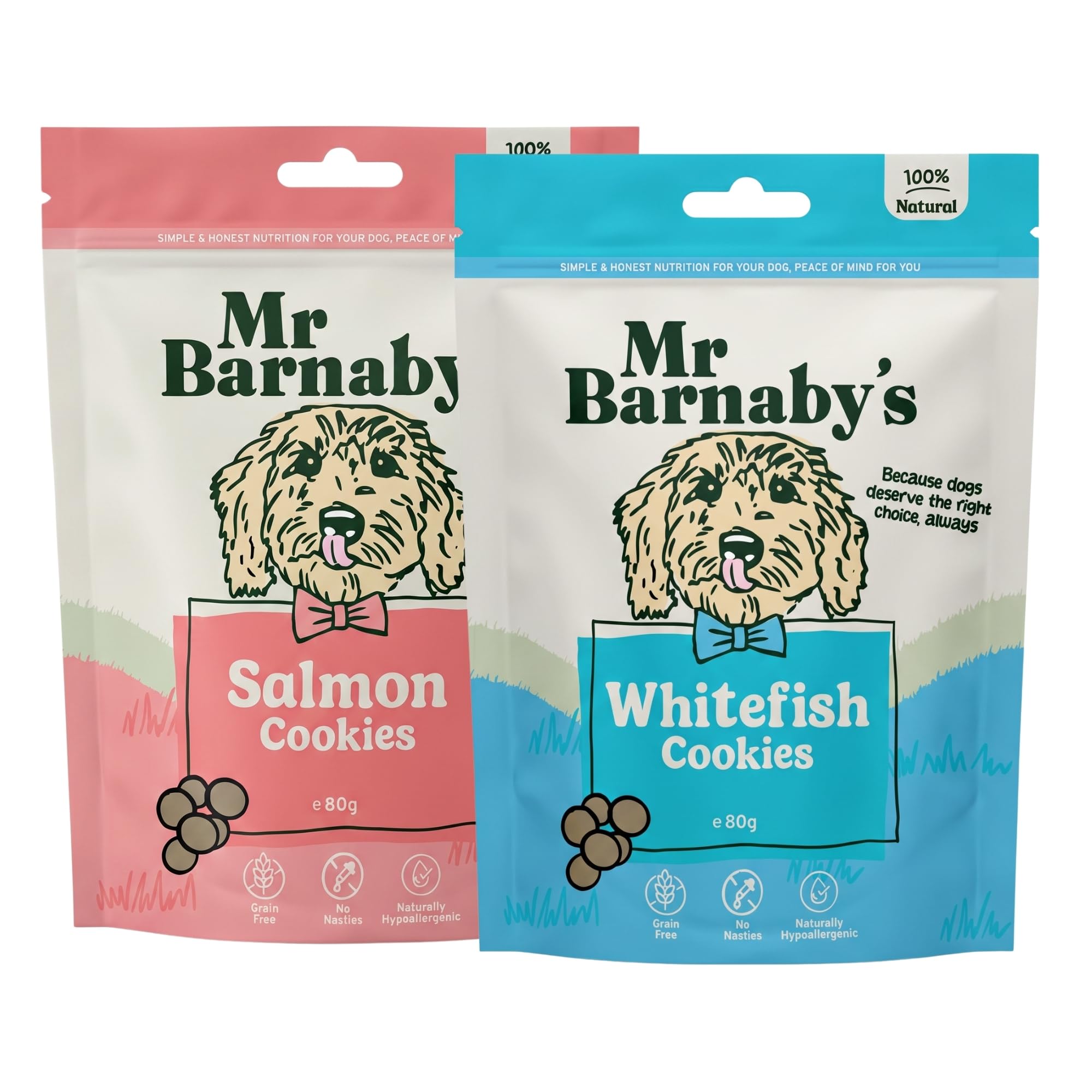 Mr Barnaby's Fish Dog Biscuits Treats - Salmon & Whitefish, 2 x 80g - Grain Free Dog Treats for Small, Medium, Large Dogs - Natural Omega 3 Fish Dog Biscuit, Gluten Free Cookies - Puppy, Adult, Senior
