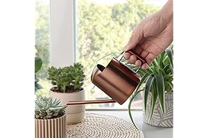 Stylish Stainless Steel Mini Watering Can for Indoor & Outdoor Gardening