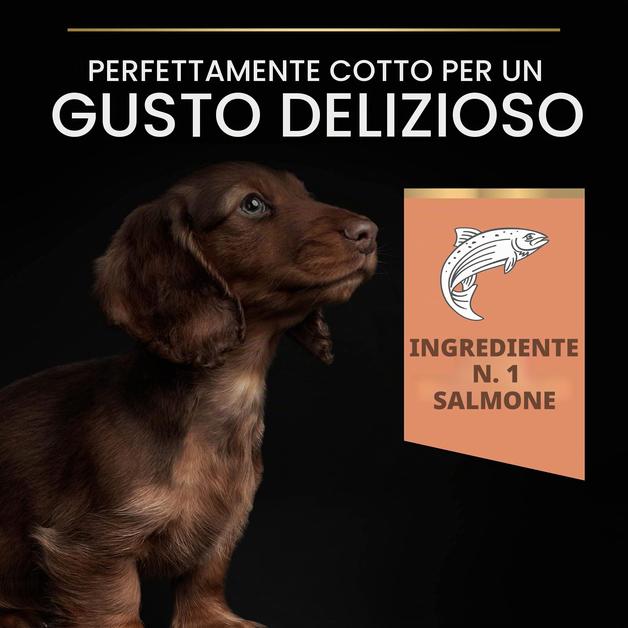 Purina Pro Plan Optiderma Small & Mini Puppy Salmone, 4 Confezioni da 3 kg