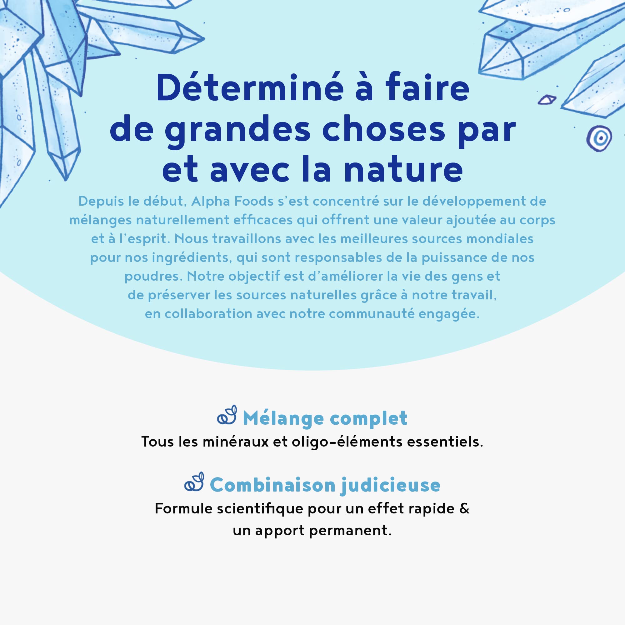Minéraux et oligo-éléments - Avec l'essence d'origine Shilajit - Sans additifs ni substances auxiliaires - Mélange optimalement biodisponible de composés minéraux actifs - 450g de poudre