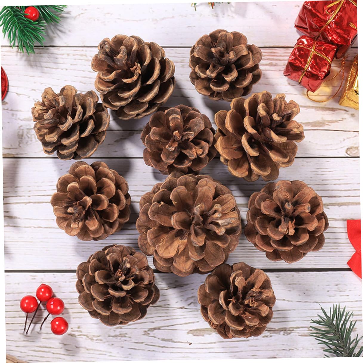 Alipis 30 Pezzi di Pigne Naturali da 5-7 CM Decorazioni Natalizie da Appendere per Albero di Natale Ornamenti Fai da Te per Ghirlande Tavoli e Matrimoni all’Aperto