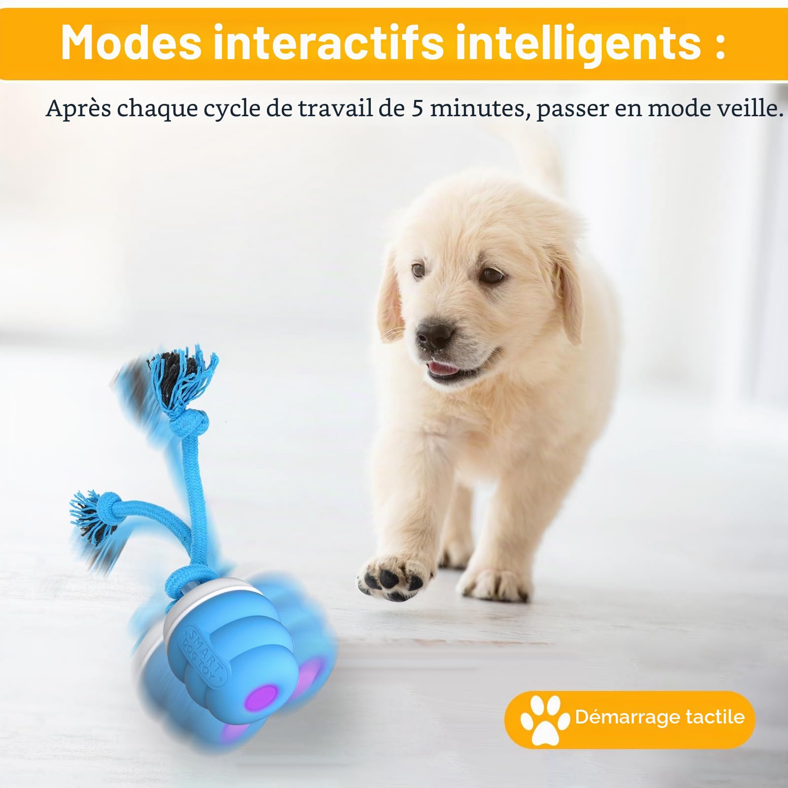 Jouet Interactif Chien Cccupation – Balle Automatique Intelligente pour Chiens de Petite Moyenne‌ Taille, Stimule et Divertit Les Chiens, Mode de Jeu Autonome, Rechargeable (Bleu‌)