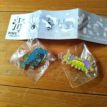 【非売品・関係者入手】インド館 ピンバッジ2点セット トレインボックス / WEST EXPRESS 銀河 ピンズ2個セット