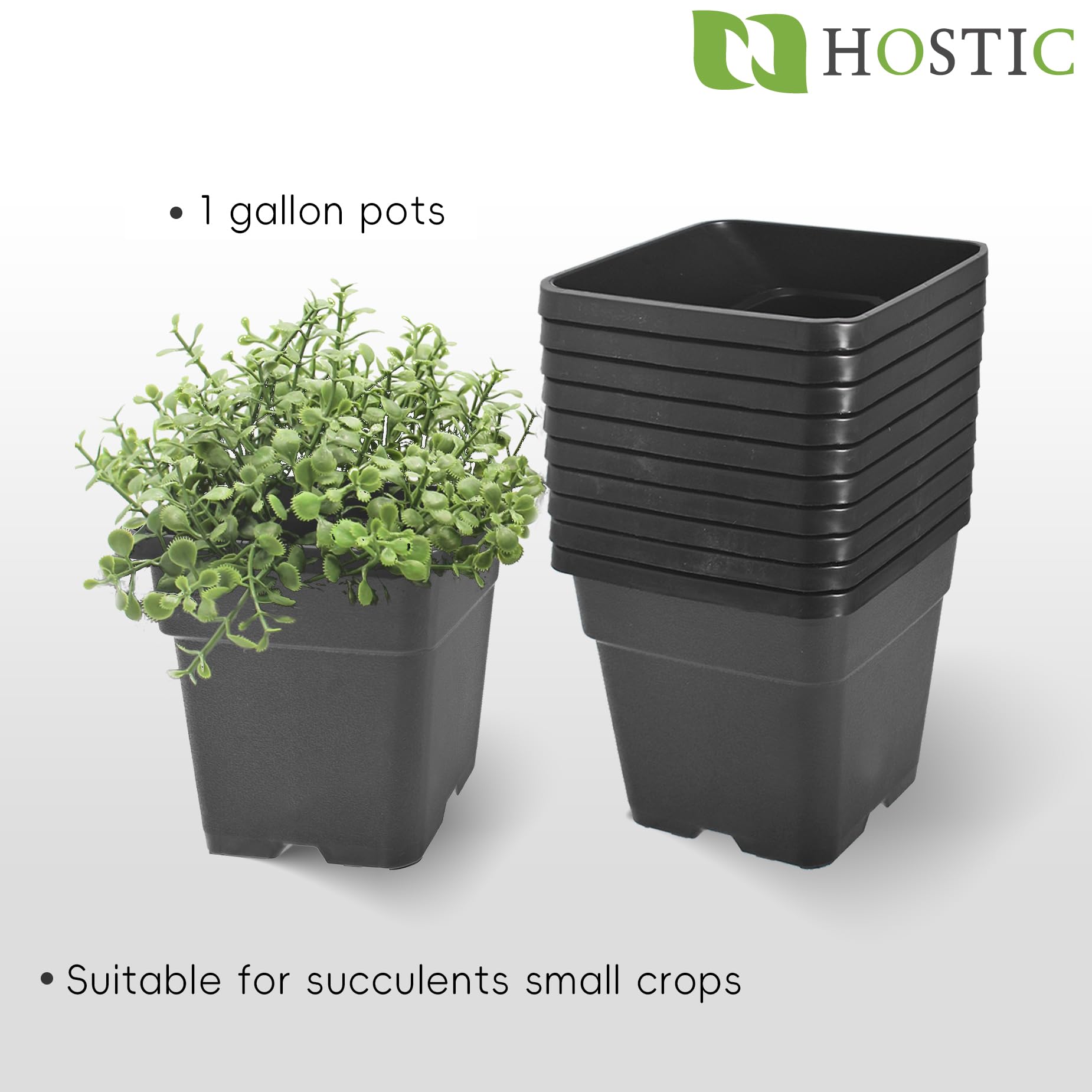 Amazon.com: HOSTIC 1 Gallon Square Nursery Pots Flexible Plastic Pots for Plants  Gallon Pot with Drainage Holes 10 Pcs : Patio, Lawn & Garden
