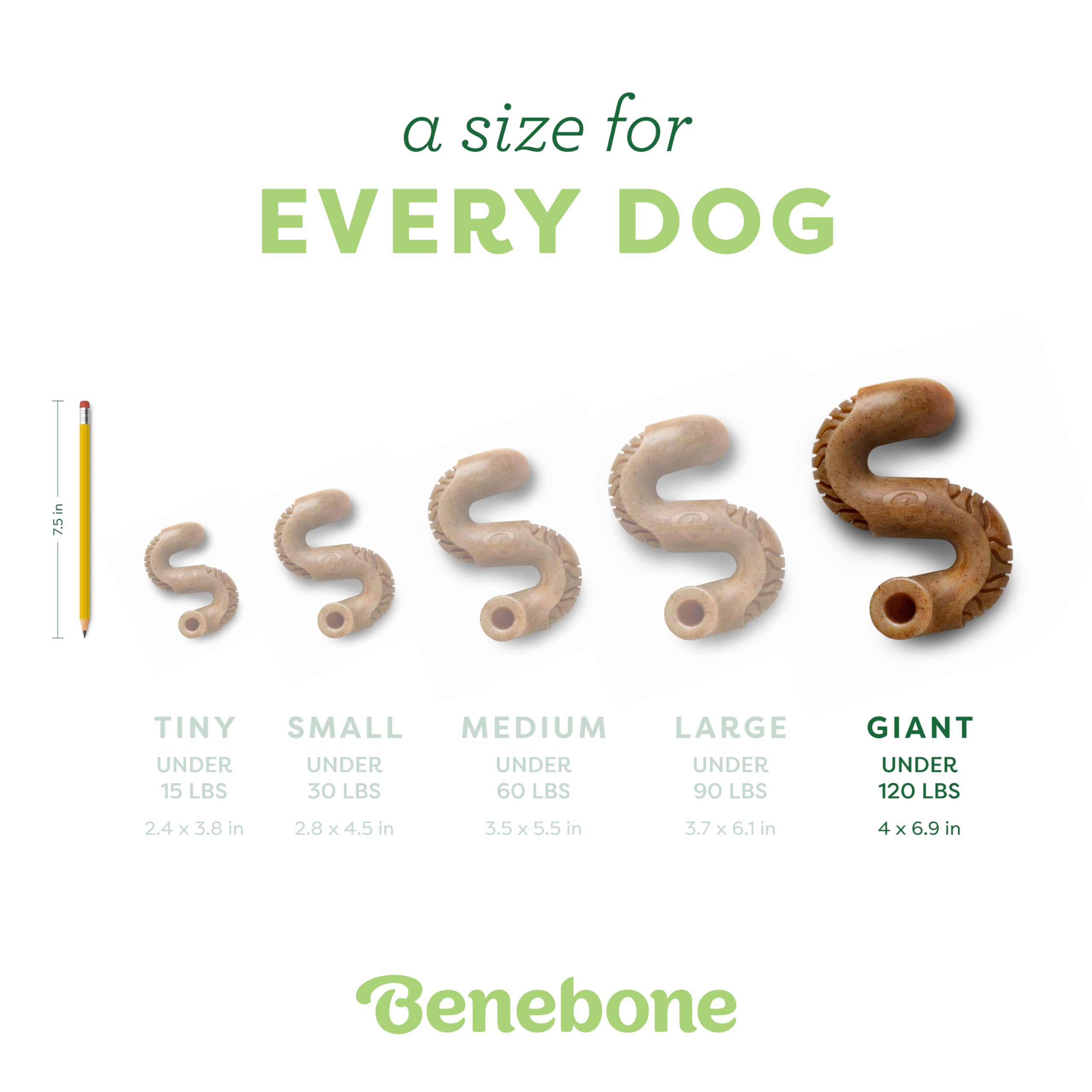 Benebone Tripe Bone Durable Dog Chew Toy for Aggressive Chewers Real Tripe, Made in USA, Giant, REAL Beef - Image 4