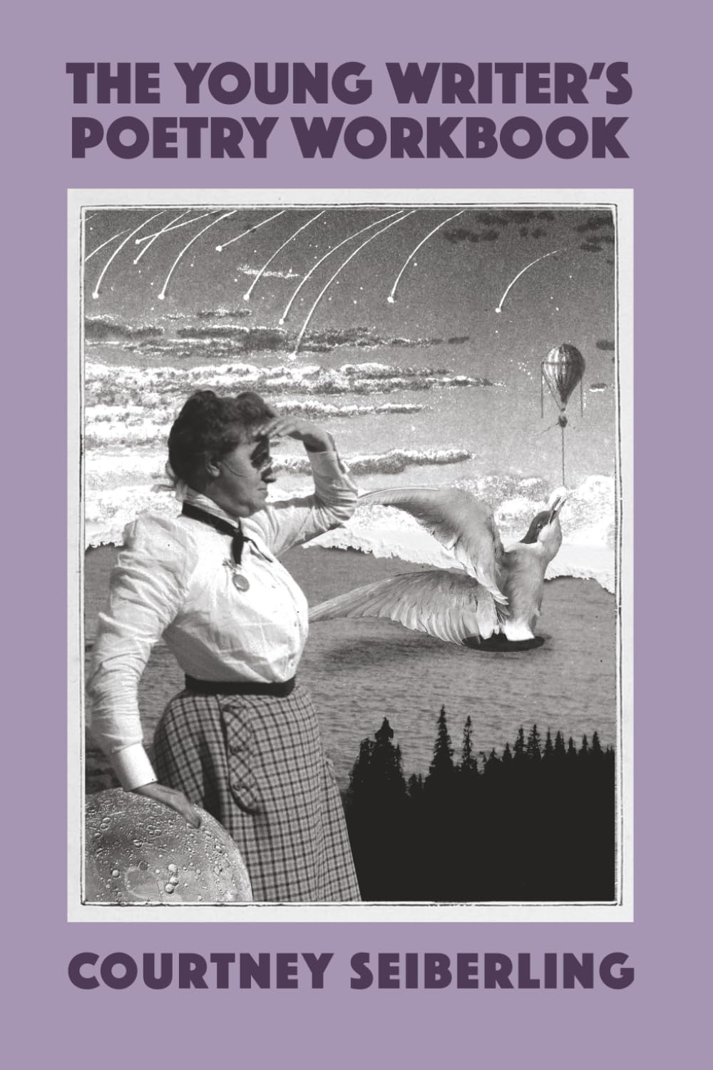 The Young Writer's Poetry Workbook (THE YOUNG WRITER'S WORKBOOKS)