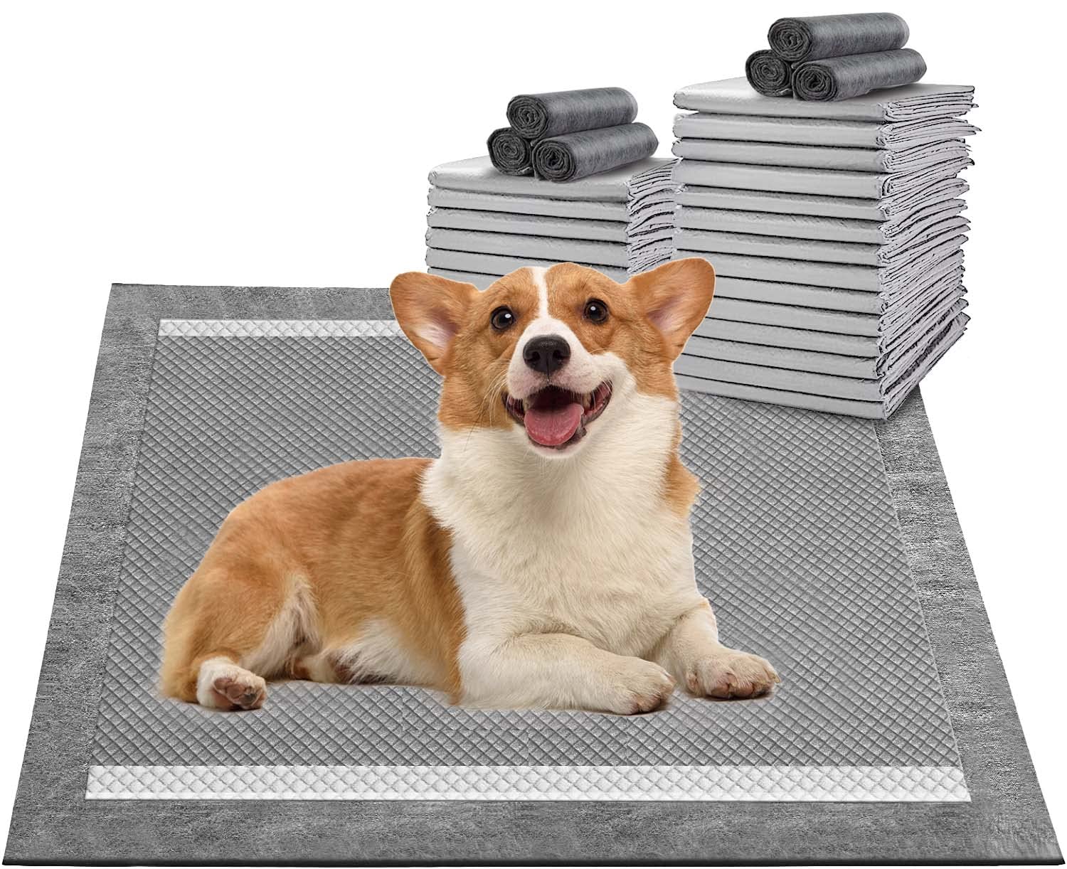 How To Train Your Dog On Pee Pads