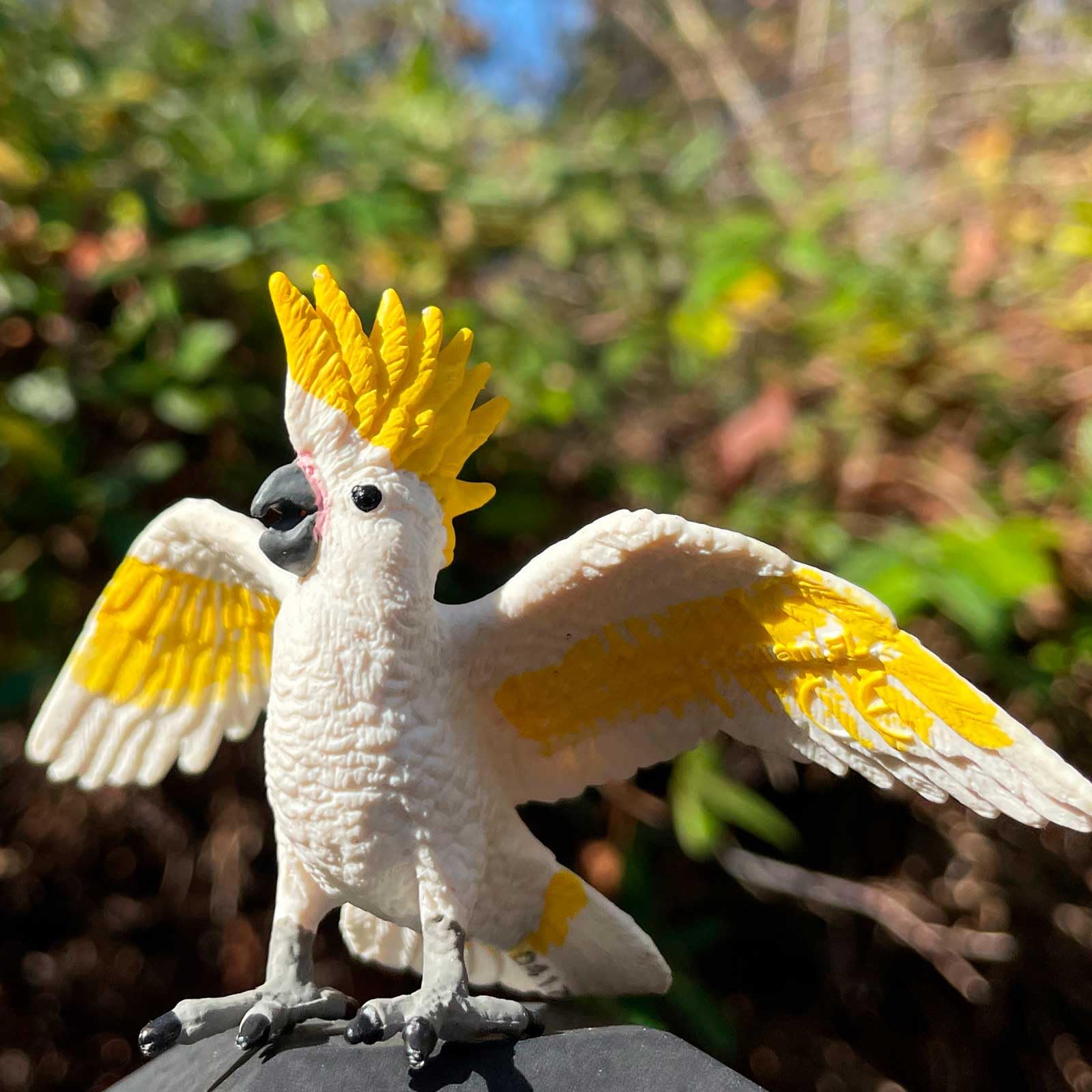 鳥頭∈(・ө・)∋出品 Amazon.com: Safari Ltd. 鳳頭鸚鵡雕像- 逼真的3.7 英吋(約9.5