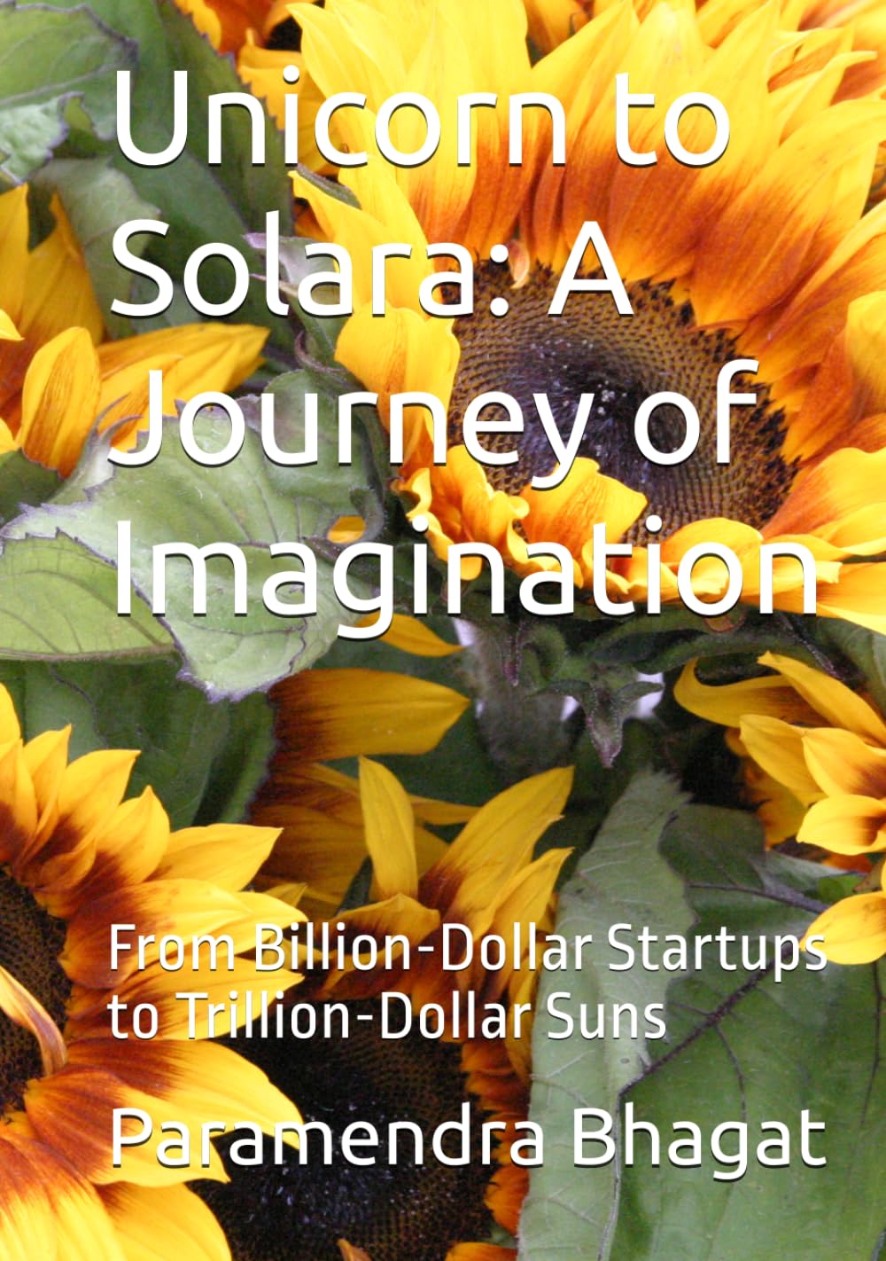 Unicorn to Solara: A Journey of Imagination: From Billion-Dollar Startups to Trillion-Dollar Suns