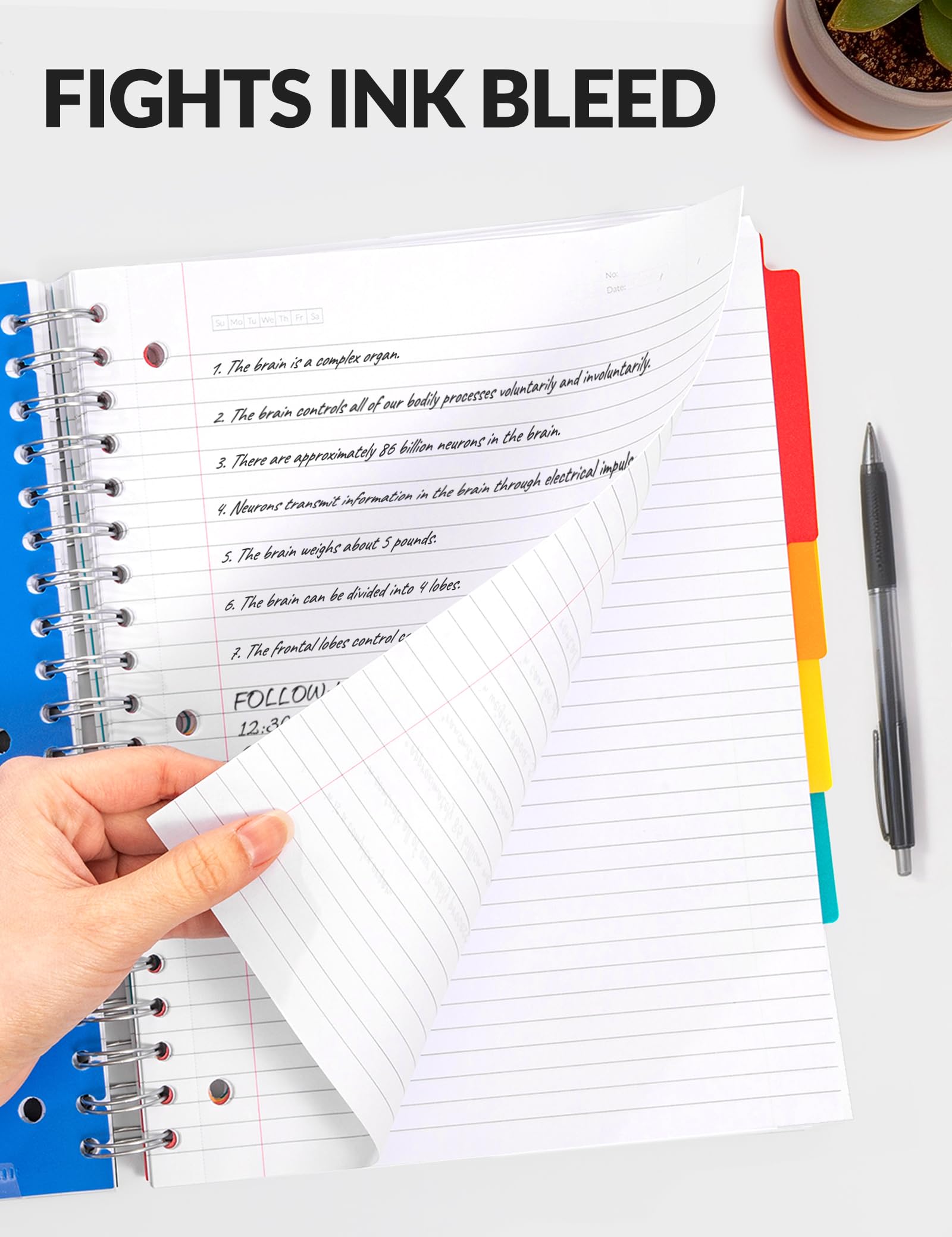 SUNEE Quaderni a spirale per lavoro con divisori e linguette rimovibili - 5 soggetti a righe, 300 pagine, 3 fori, copertina in polipropilene resistente, 20,3 x 26,7 cm, per ufficio o scuola, rosa