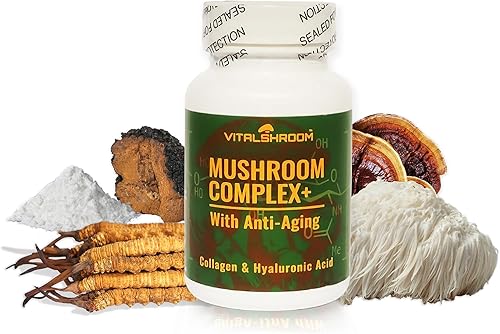 Vitalshroom - Complejo de hongos con antienvejecimiento. Suplementos antienvejecimiento a base de hongos naturales con chaga, melena de león,