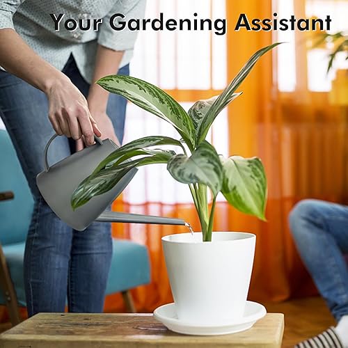 Miniatura 3 de Regadera para plantas de interior y exterior, modernas latas de riego pequeñas con boquilla extraíble, regadera de boquilla larga para plantas de