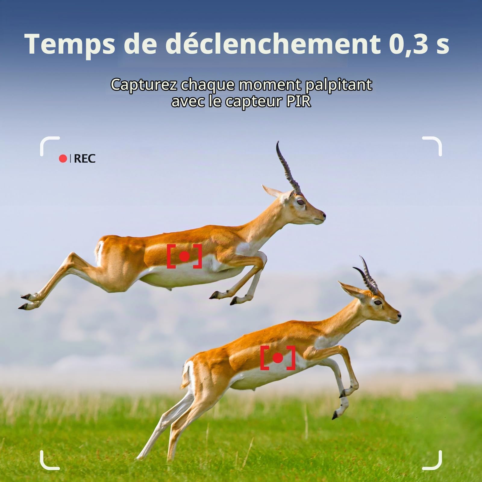 BlazeVideo Caméra Proie Caméra Sauvage 24MP 1296P, Caméra Sauvage Numérique avec Détecteur de Mouvement et Vision Nocturne, IP66 Étanche Écran 2,4"