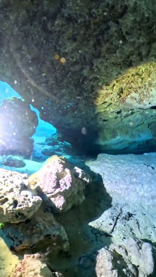 Amazon.co.jp: TrustFire DF90 ダイビングライト LED 懐中電灯 最強