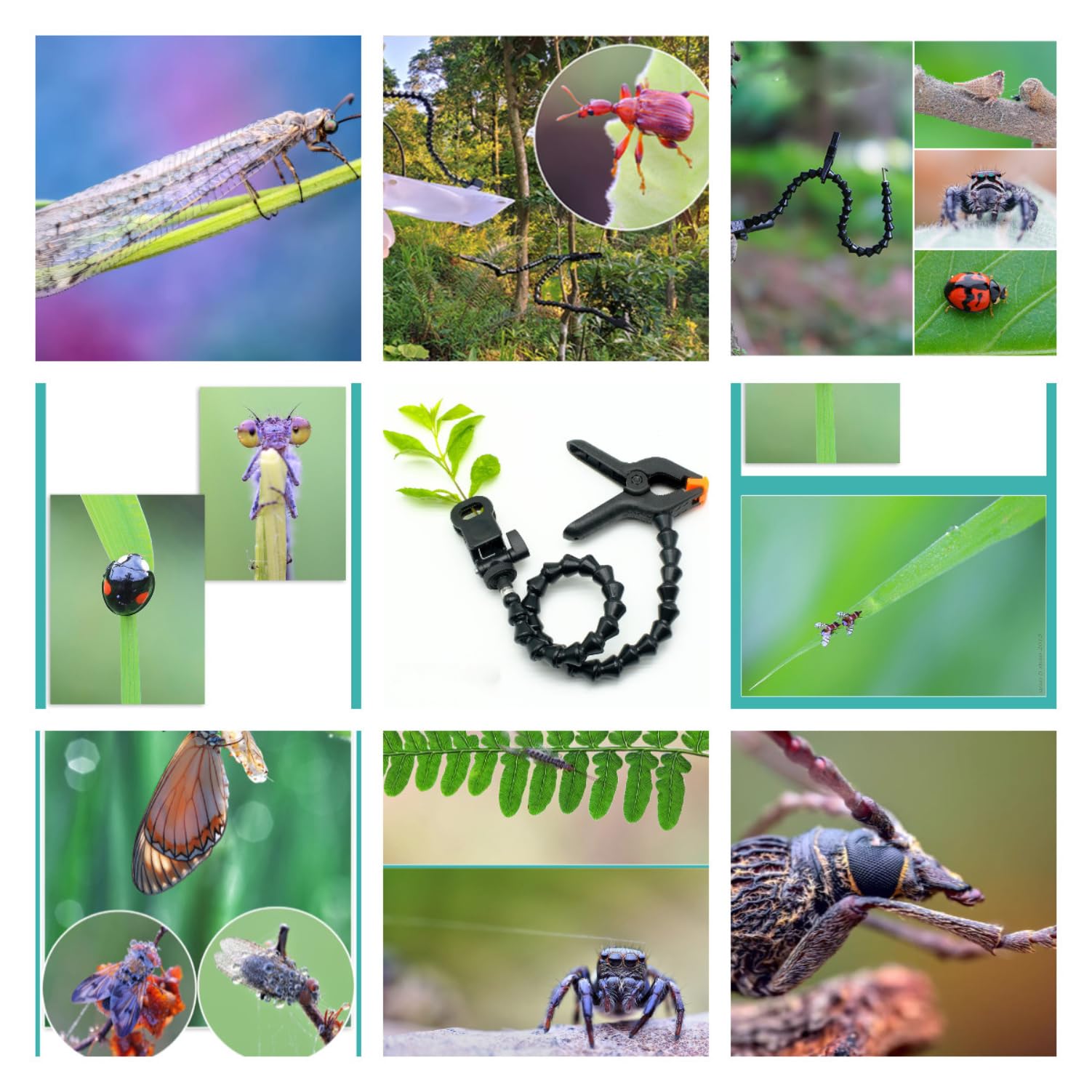 Guage Single Macro Arm Clip 60 cm con Clip giratorio ajustable de 360° para insectos, flores y fondos (tipo de tubo único