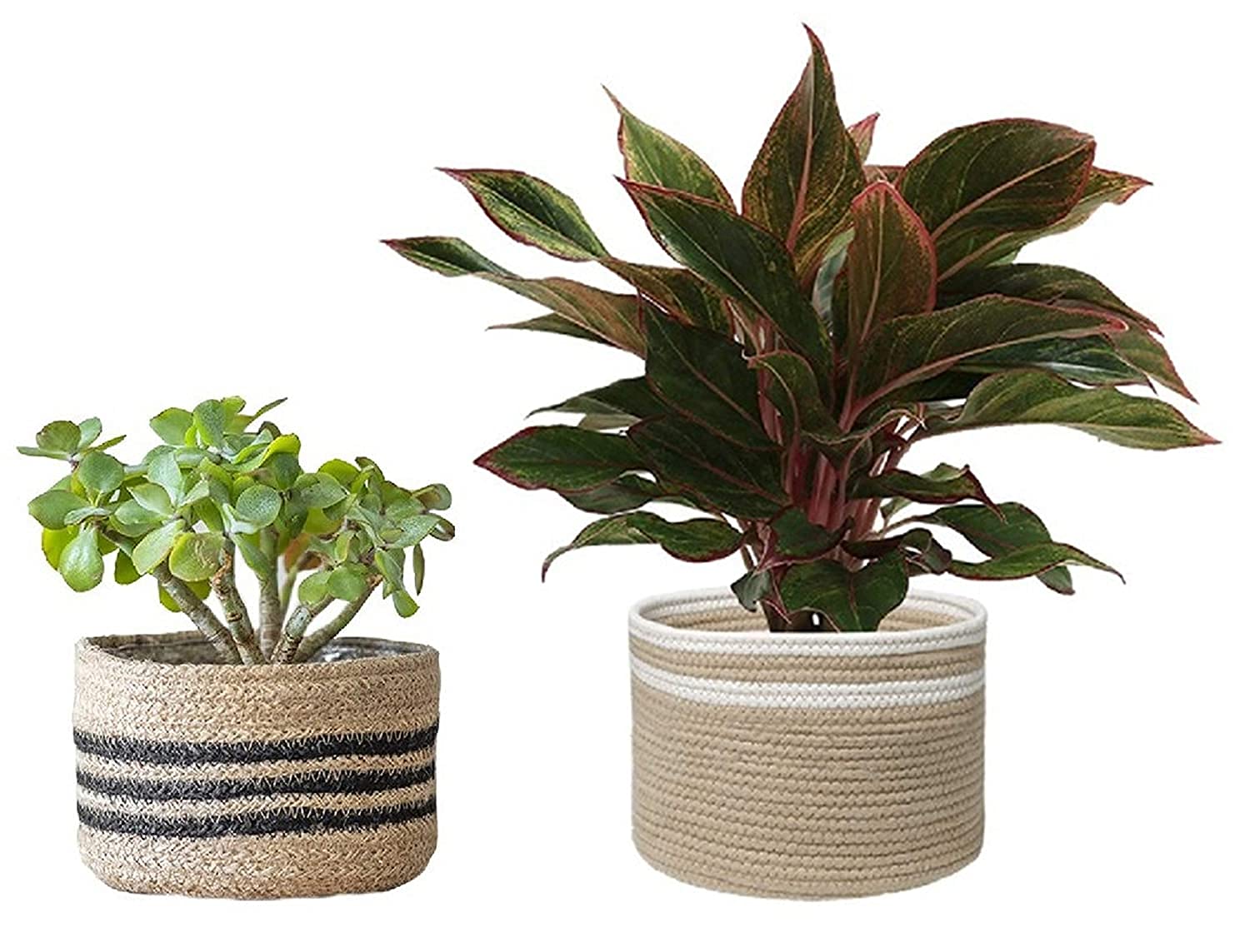 NR HOME STORES Natural Jute Cotton Plant Pot Bags - Jute Plant Baskets for Planters - Handwoven Plant Baskets Bag for D�cor, Black & White (6x6x6 Inch, 6x6x5 Inch, Pack of 2) (B09GNS68DY) Amazon Price History, Amazon Price Tracker