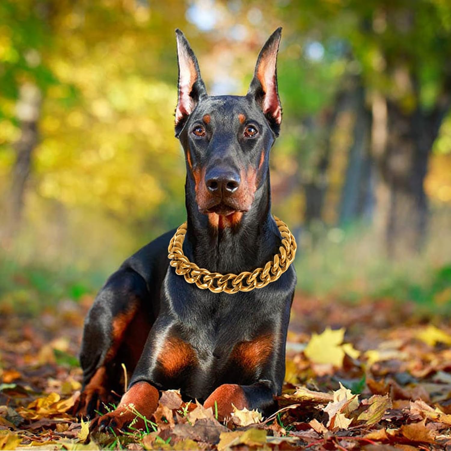 BAOBOTE 20MM Gold Dog Chain,Cuban Link Dog Collar with Design Secure Buckle,Cuban Link Strong Heavy Duty Chew Proof for Medium Dogs(16" Gold)