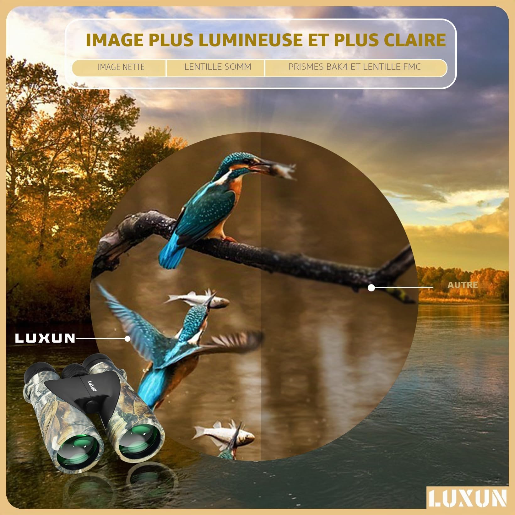 LUXUN Jumelles Adultes UltraSharp 12x50 HD Optique de Haute Qualité, Jumelles Robustes avec Adaptateur de Téléphone Portable, Idéales pour la Chasse, l'observation des Oiseaux et l'exploration