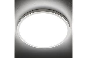 SunRider LED Ceiling Light Fixture: Elegance Meets Efficiency