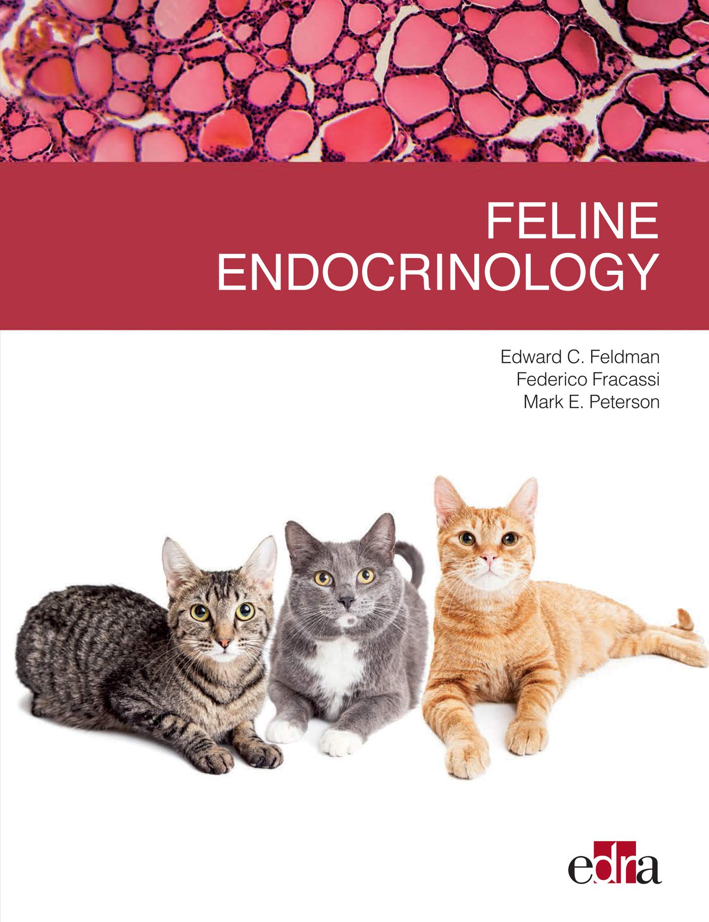 Feline endocrinology (English Edition)