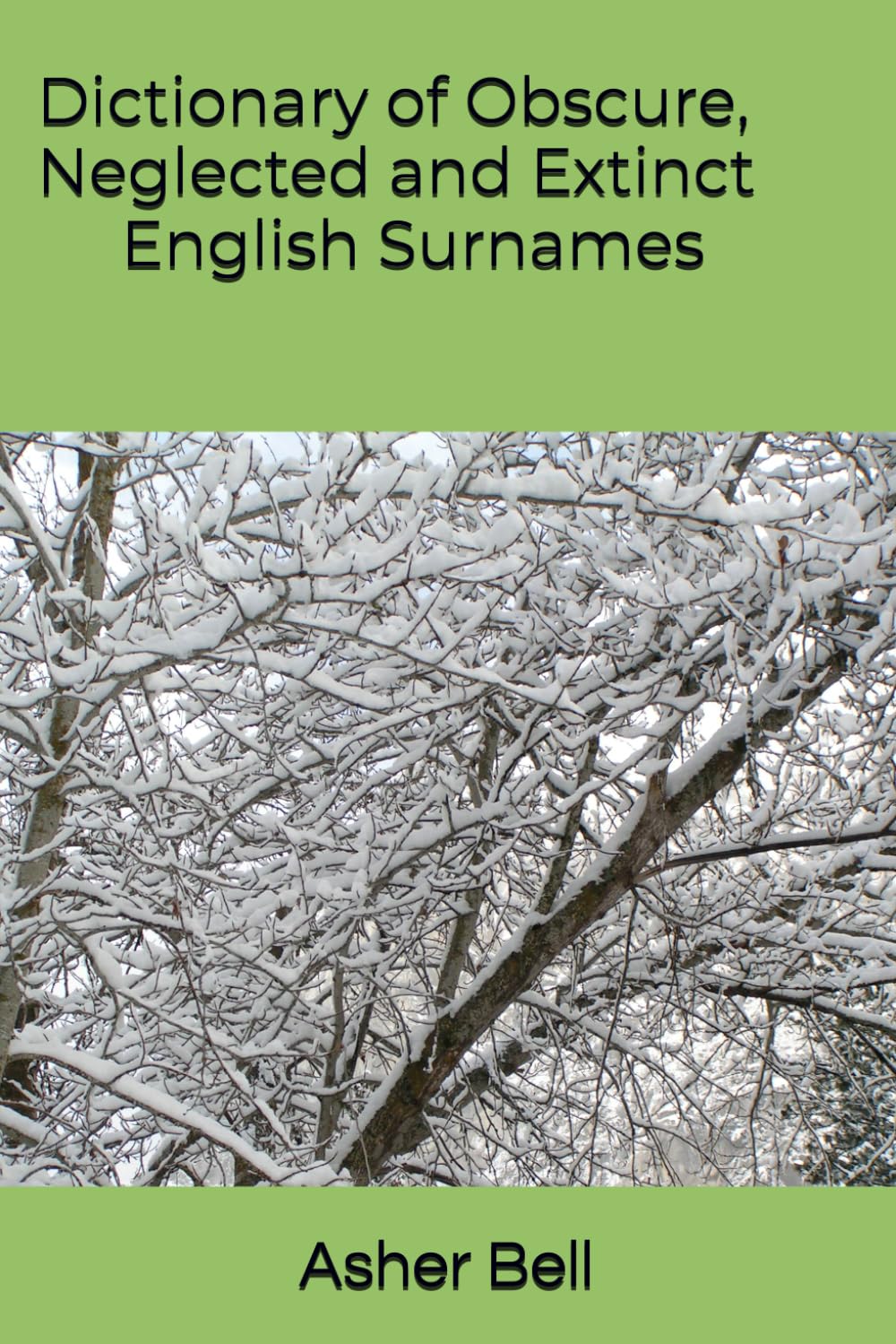 Dictionary of Obscure, Neglected and Extinct English Surnames
