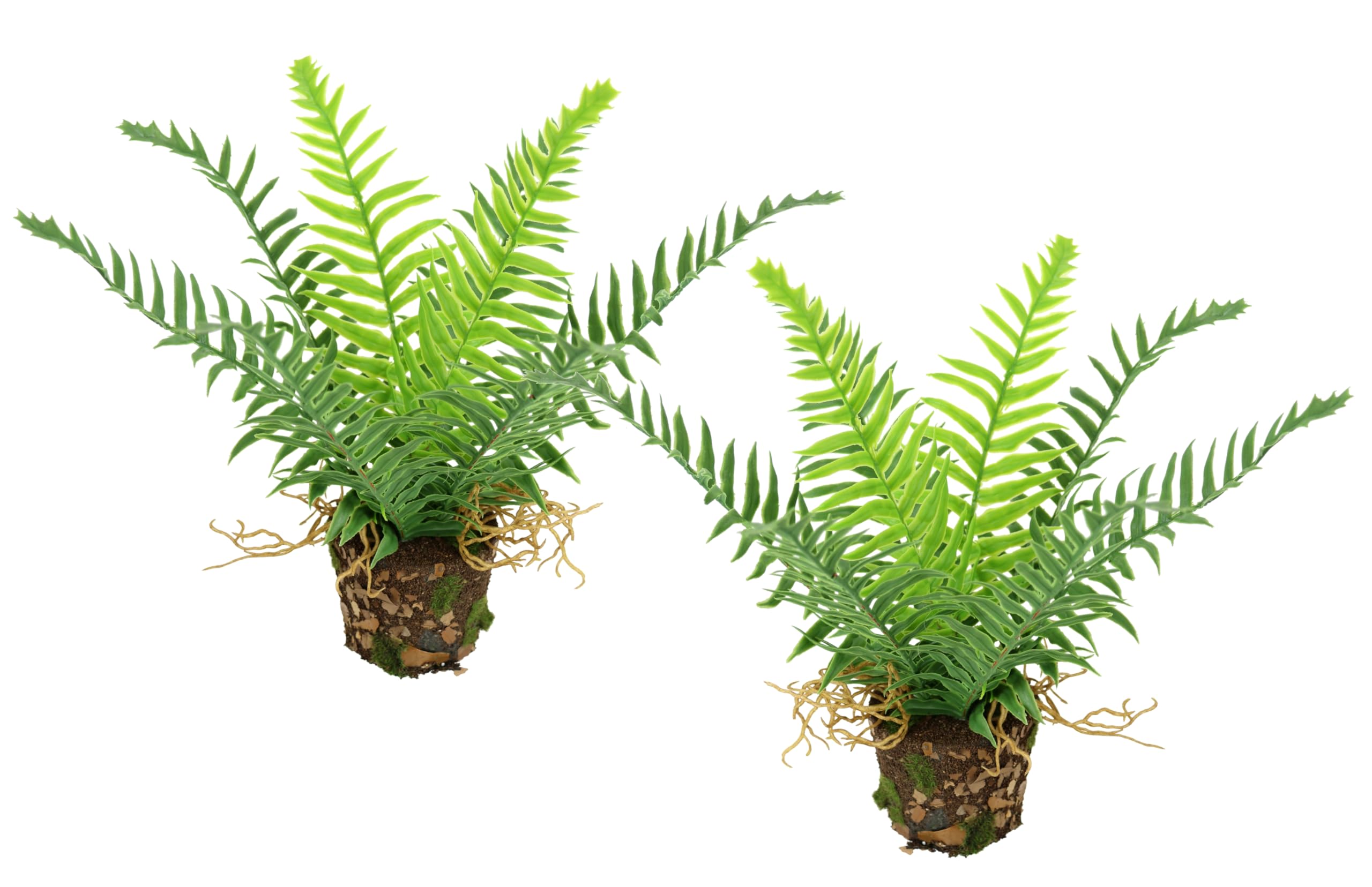 Artificial Forest Fern in Pot 25 cm Set of 2 Boston Fern Potted Plant Fern Bushes Fern Plants Flowers Like Real Decorative Silk Plant Decoration Green Plant Artificial Flower Forest Plant Indoor Plant