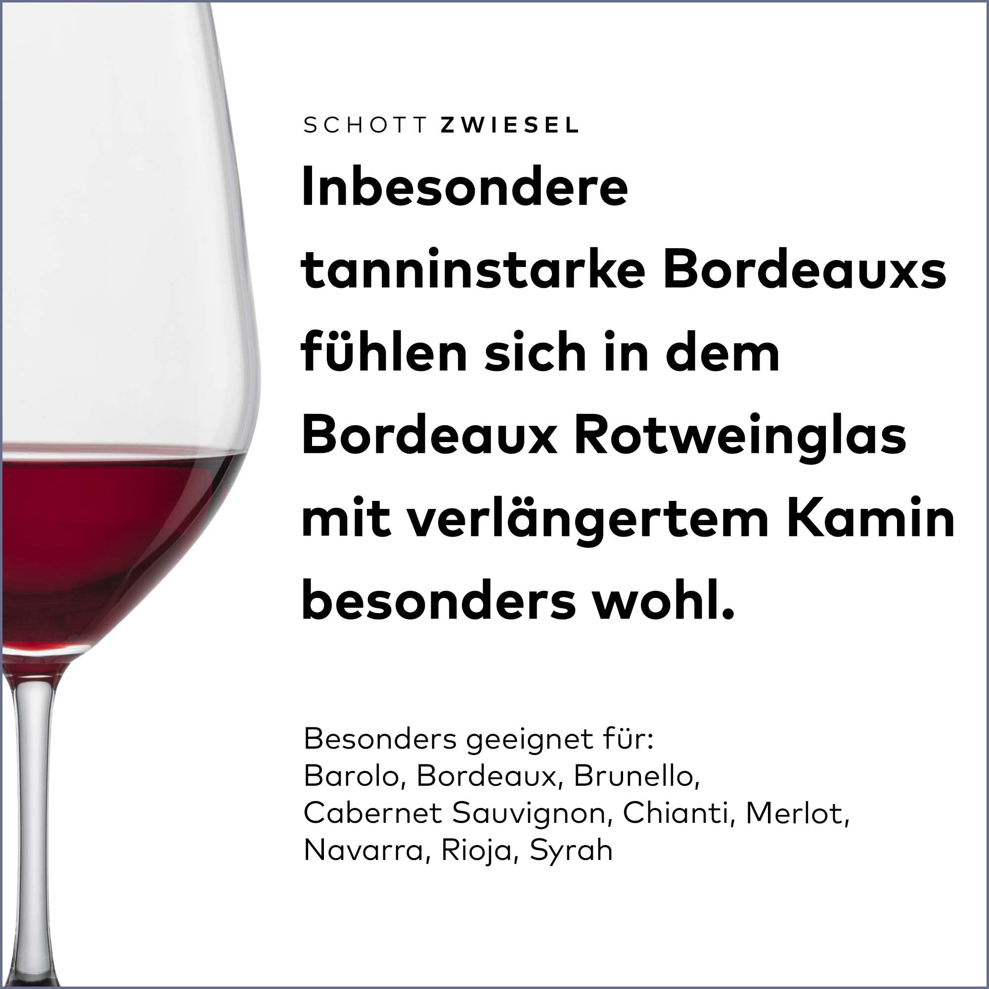 SCHOTT ZWIESEL Forté Red Wine Glass (Set of 6
