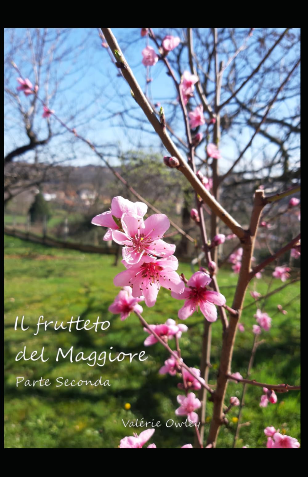 Il frutteto del Maggiore: Parte Seconda (Il casale Hofer)