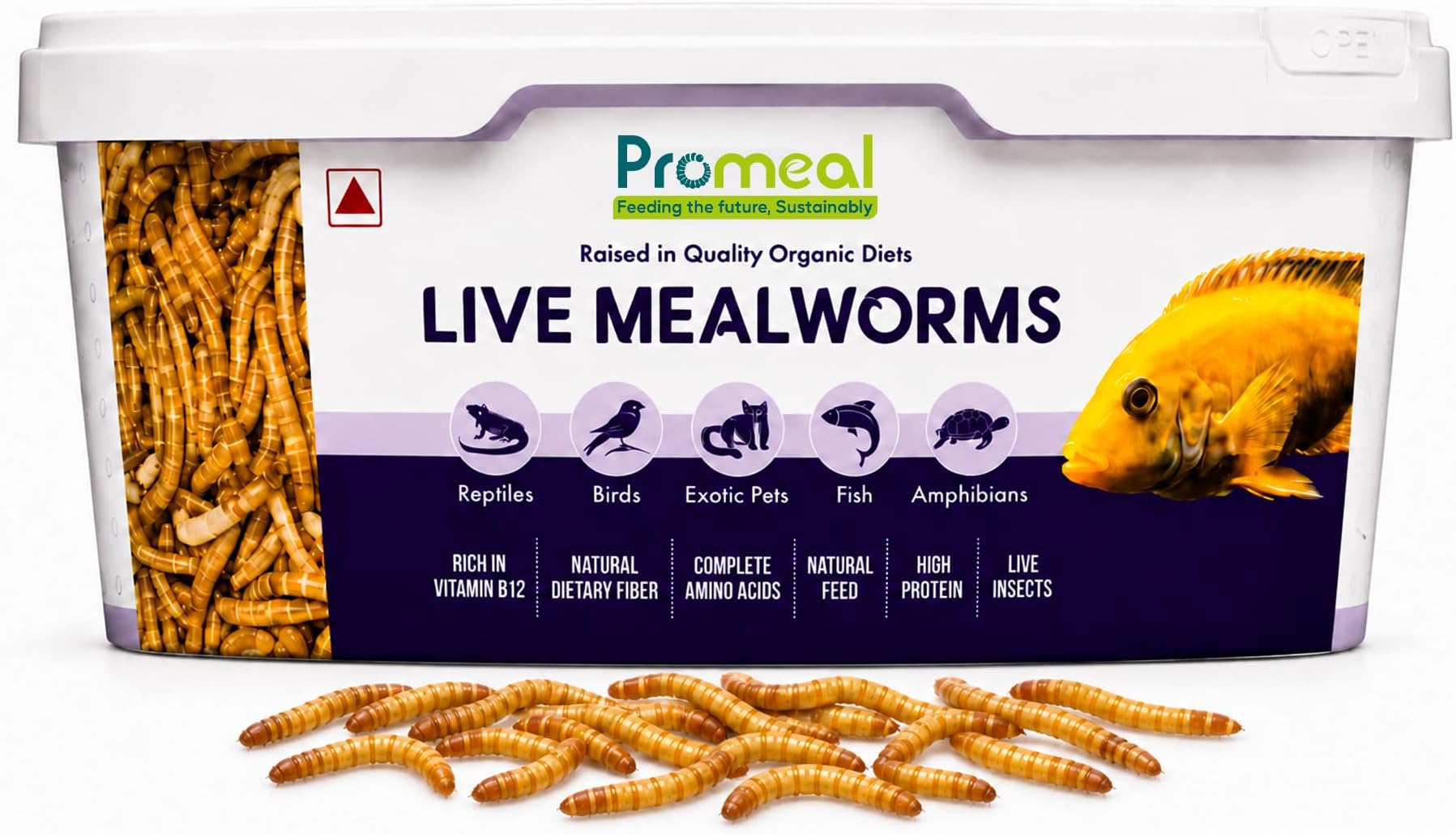 Promeal Larvae Live Mealworms High Protein Treat Food for Aquarium Fishes Like Flowerhorn, Arowana, and Birds, Reptiles, Monkeys and Other Pets of All Life Stages (500 Larvae)