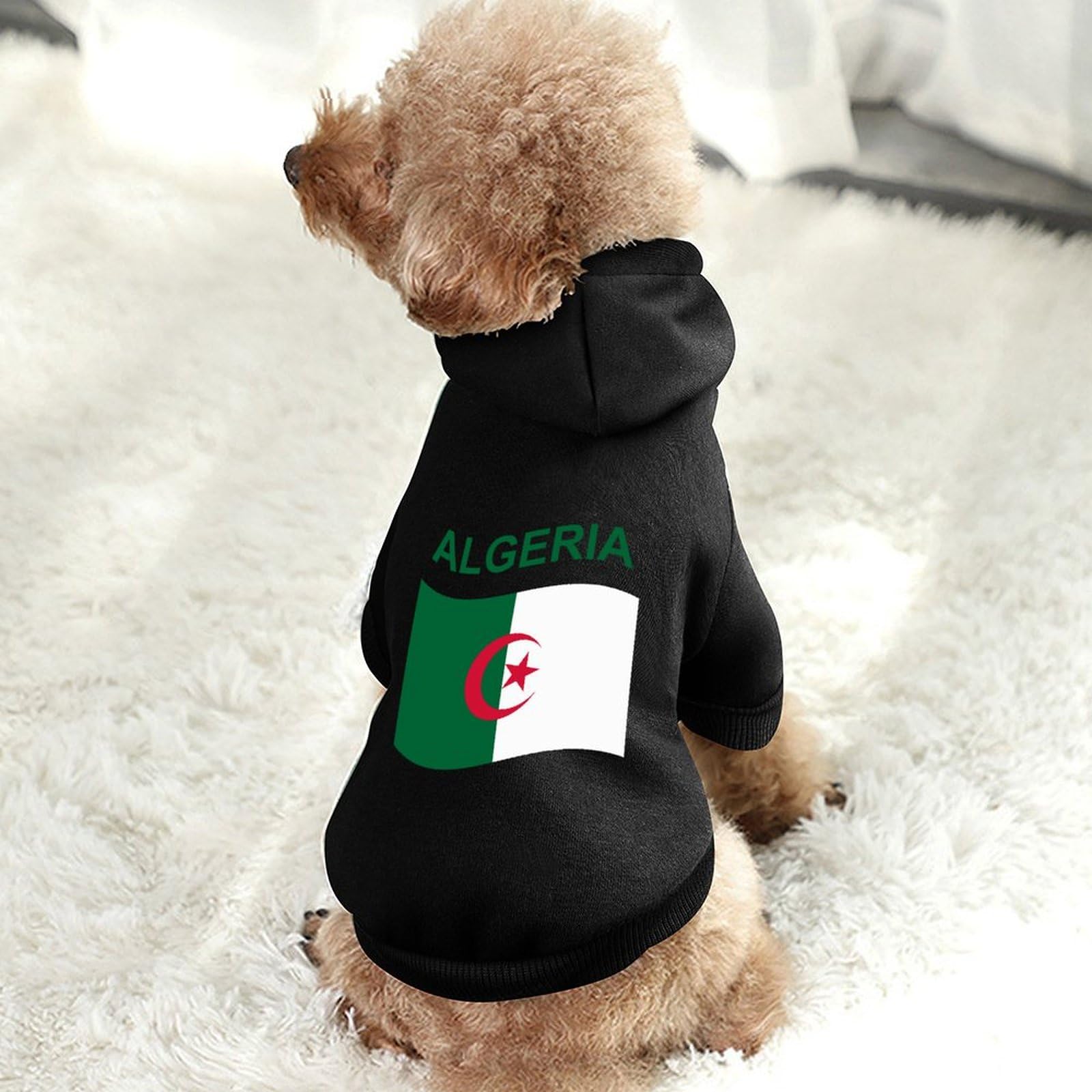 Sweat à Capuche Pour Chien Avec Drapeau Algérie - Taille M - Tissu Doux Et Chaud - Pour Promenade Hiver