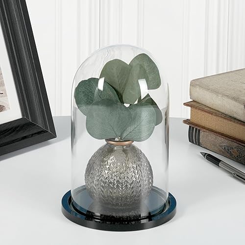 Miniatura 3 de Plymor Mini campana de cristal en forma de domo para exhibición, de 1.85 x 2.875 pulgadas