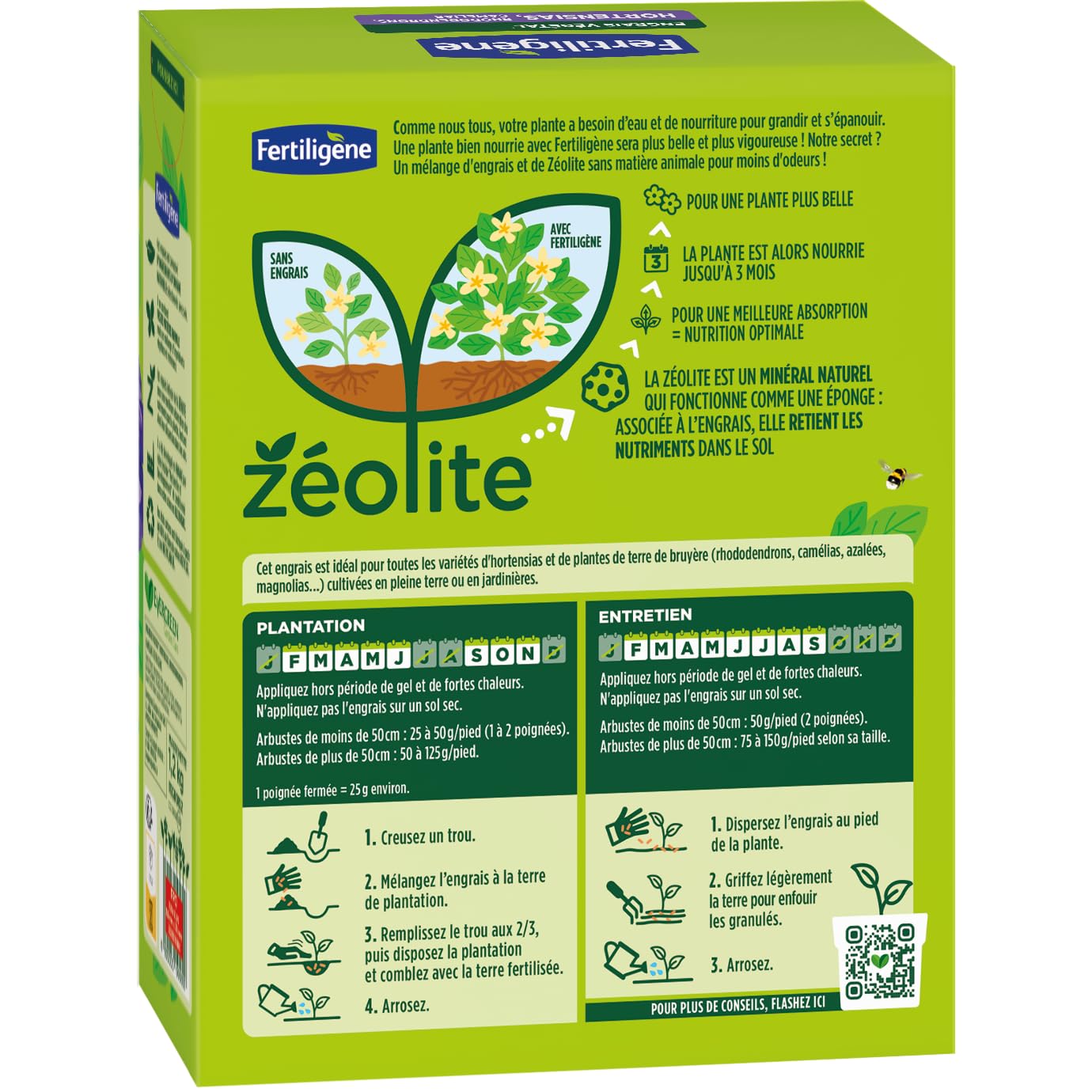 FERTILIGENE FEGHOR12 - Engrais Végétal Hortensias, Rhododendrons, Camélias 1,2 kg - Fleurs plus abondantes -Seulement 1 application en 3 mois -Jusqu'à 48 plantes - Produit 100% naturel avec zéolite